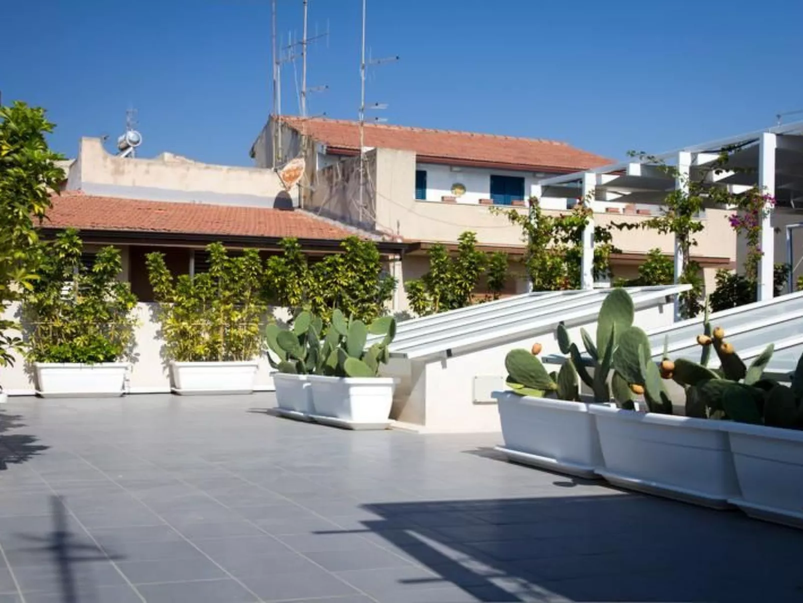 Aed-Suite-Image-tags.info