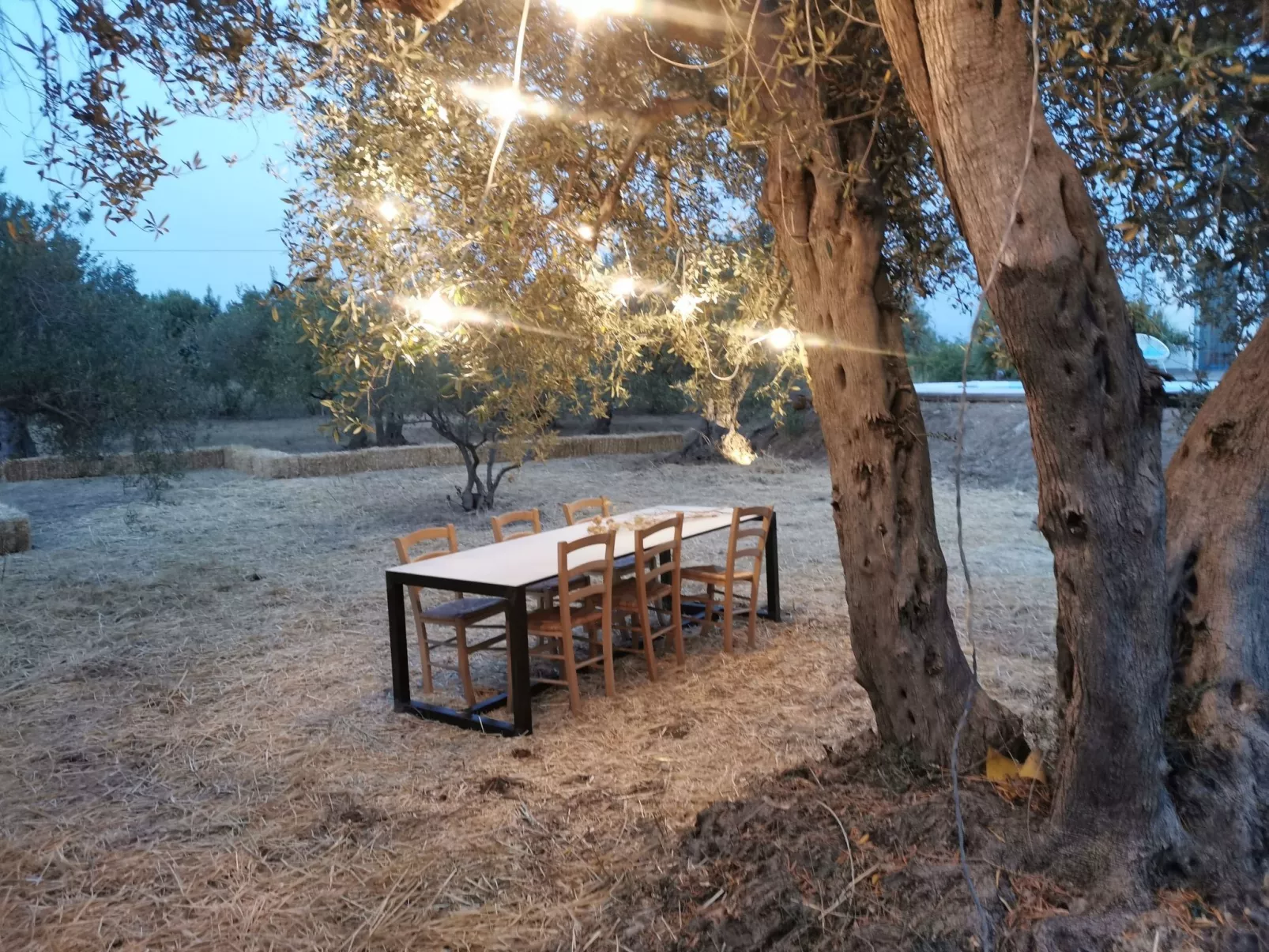 Haus in Partinico mit privatem Pool-Buiten