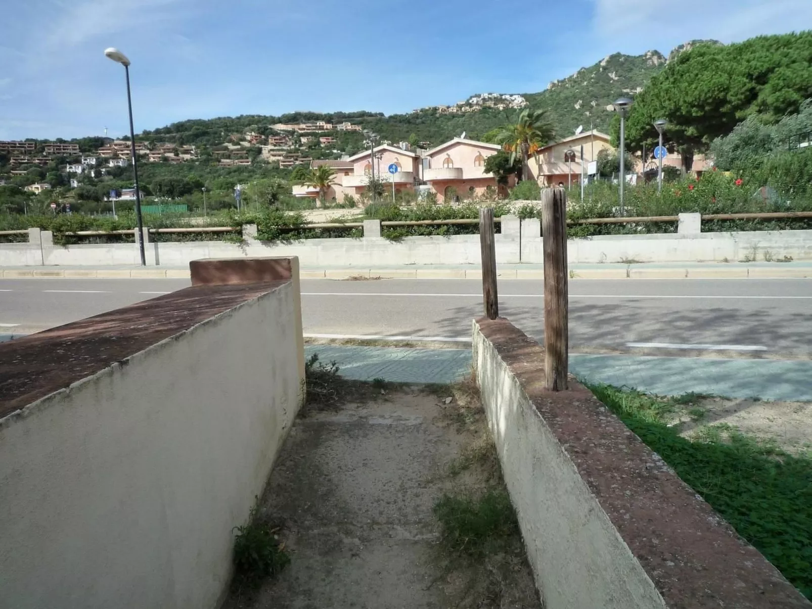 Bilo mimosa-Image-tags.info