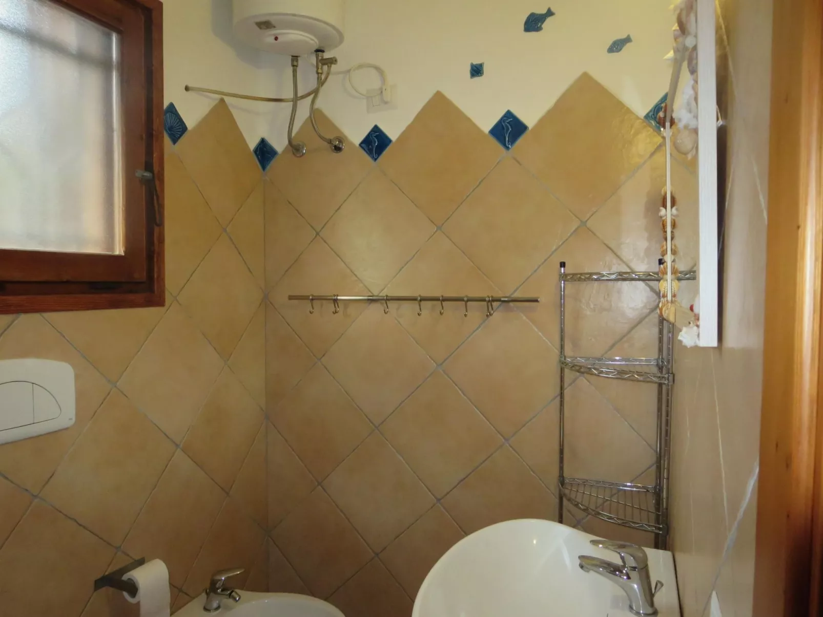 Trilo Alex-Image-tags.info