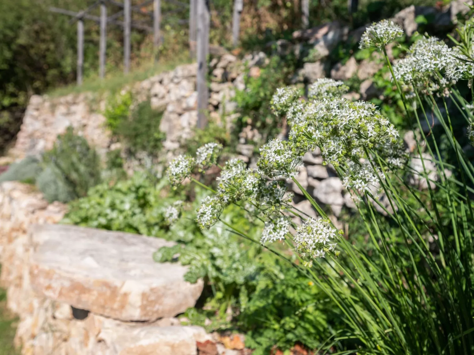 Alleinstehende Villa mit Pool und Traumaussicht-Buiten