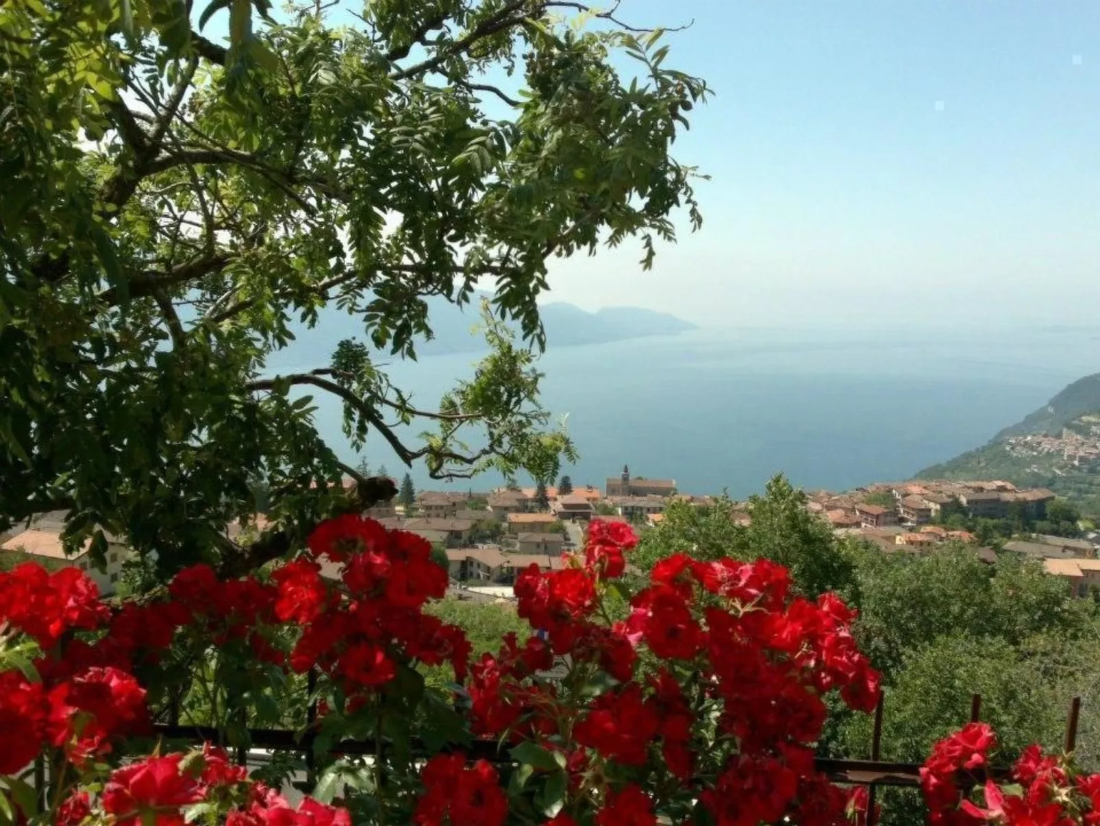 Wohnung 'Stella del Garda'-Buiten