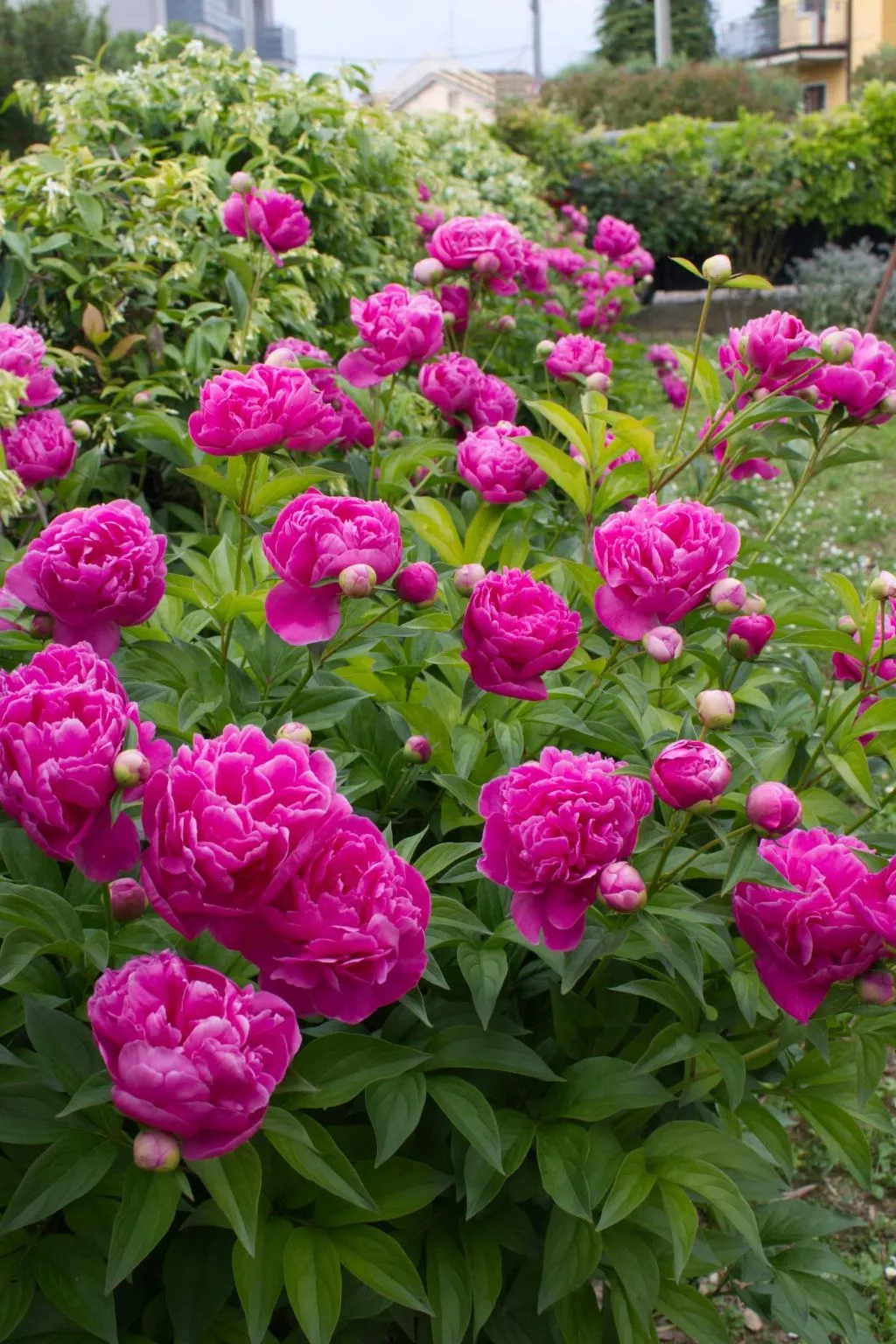 Wohnung 'Casa Natalia' mit Privatparkplatz-Buiten