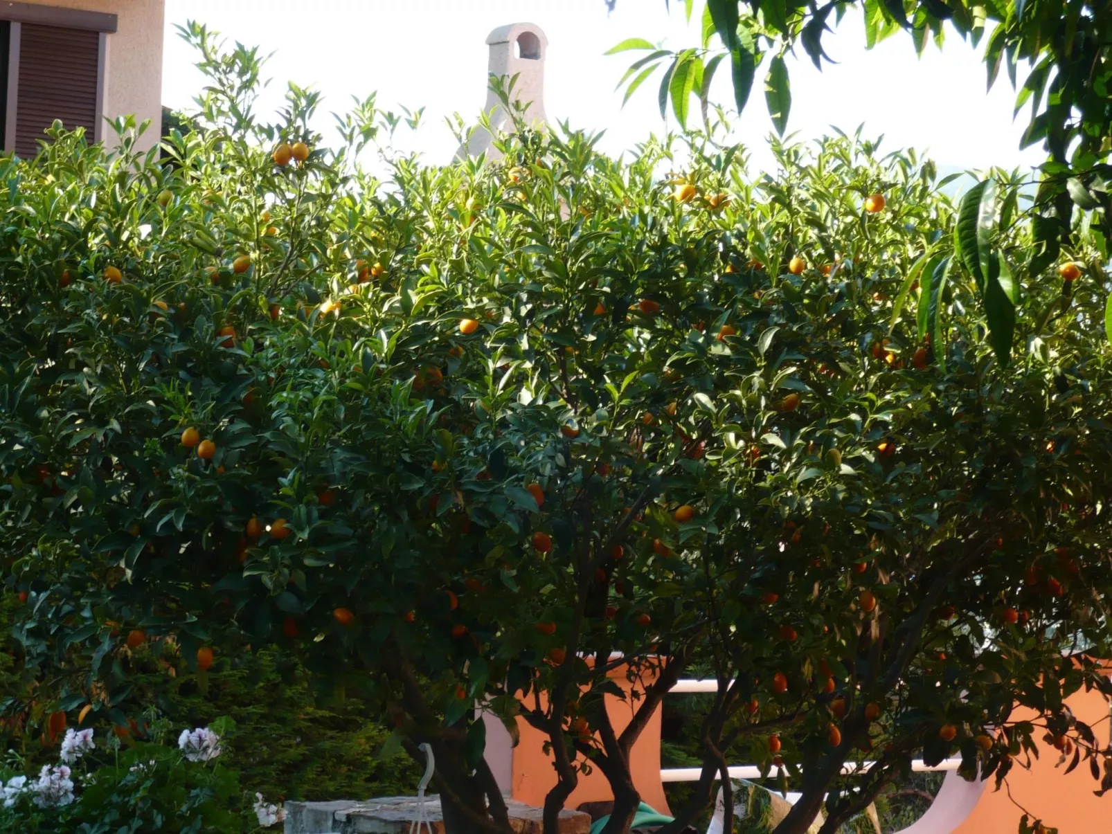 Zwei-Zimmer-Wohnung mit Meer- und Stadtblick-Buiten