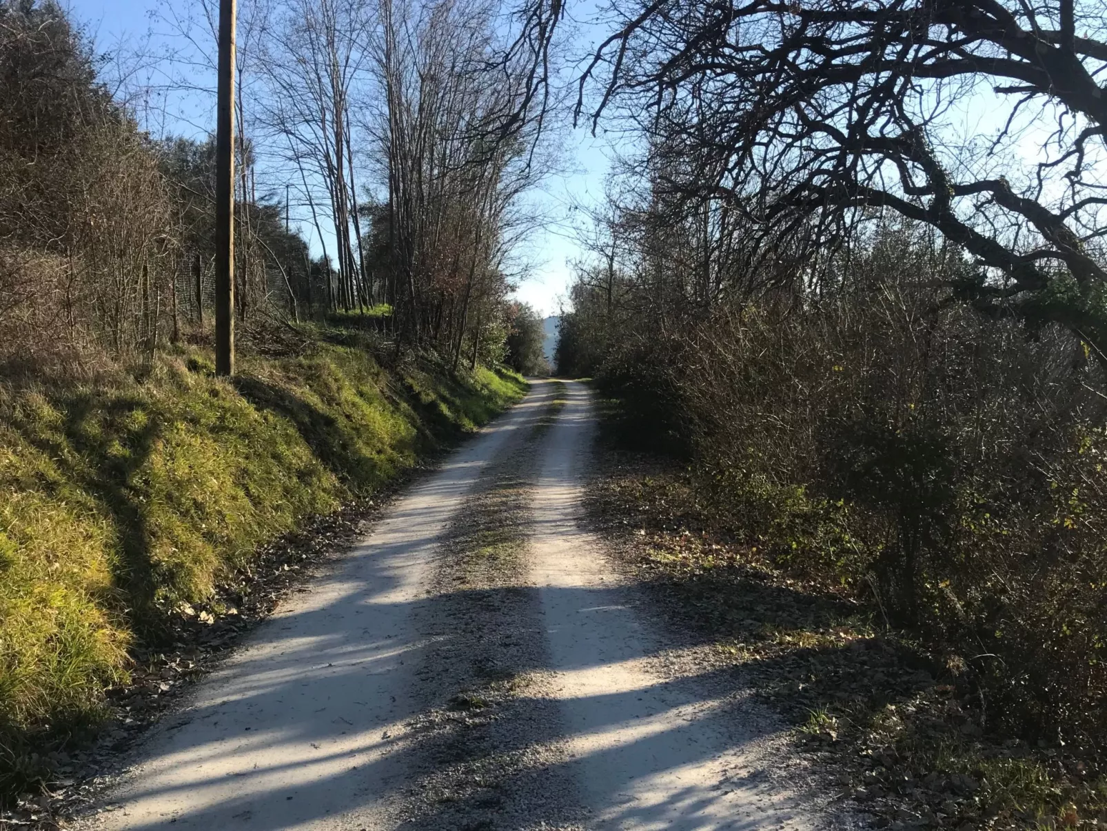 Toskana Poggio Cantarello-Image-tags.info