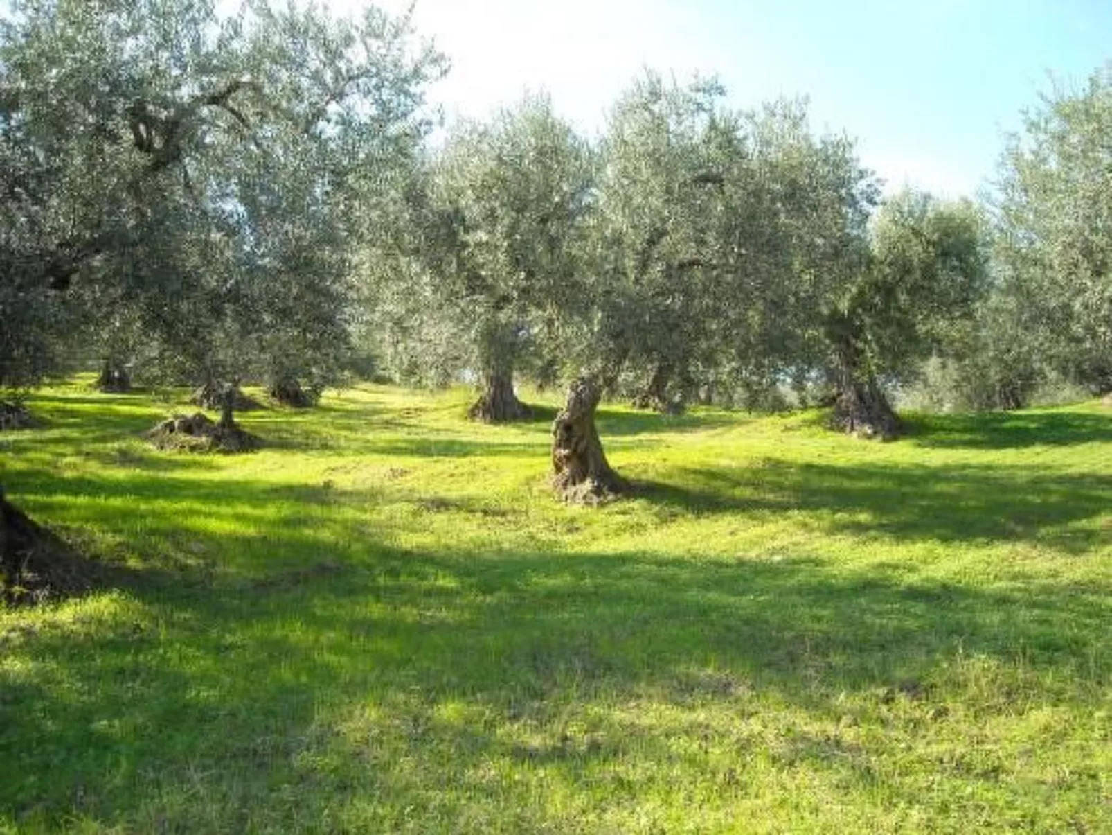 Anwesen mit Schwimmbad-Buiten