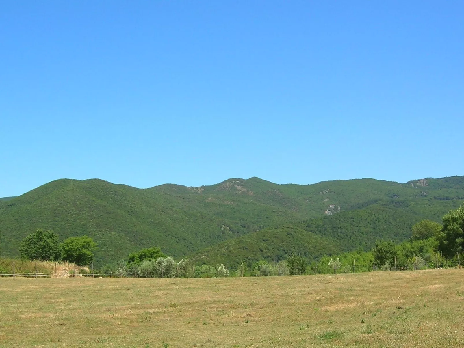 Wohnung Grecale in Castellina Marittima-Image-tags.info