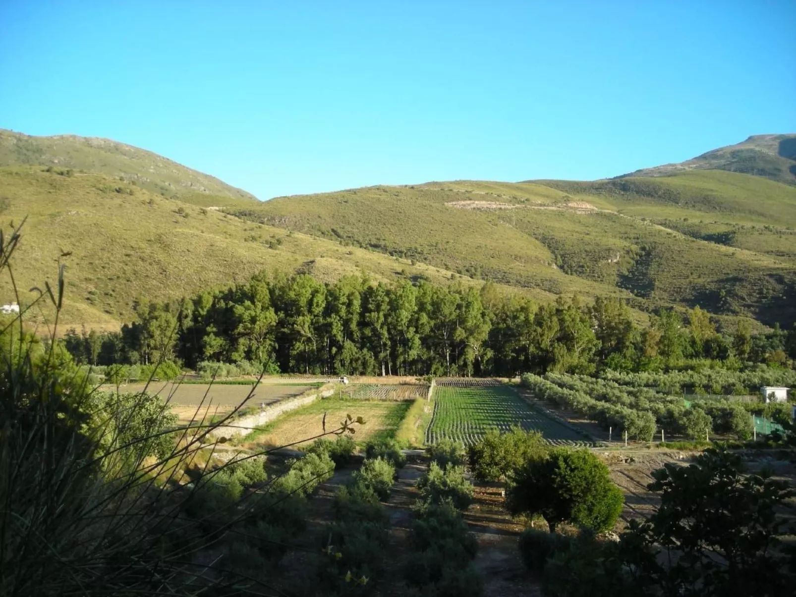 Gemütliches Ferienhaus in Tíjola mit Grill, Garten und Terrasse-Image-tags.info