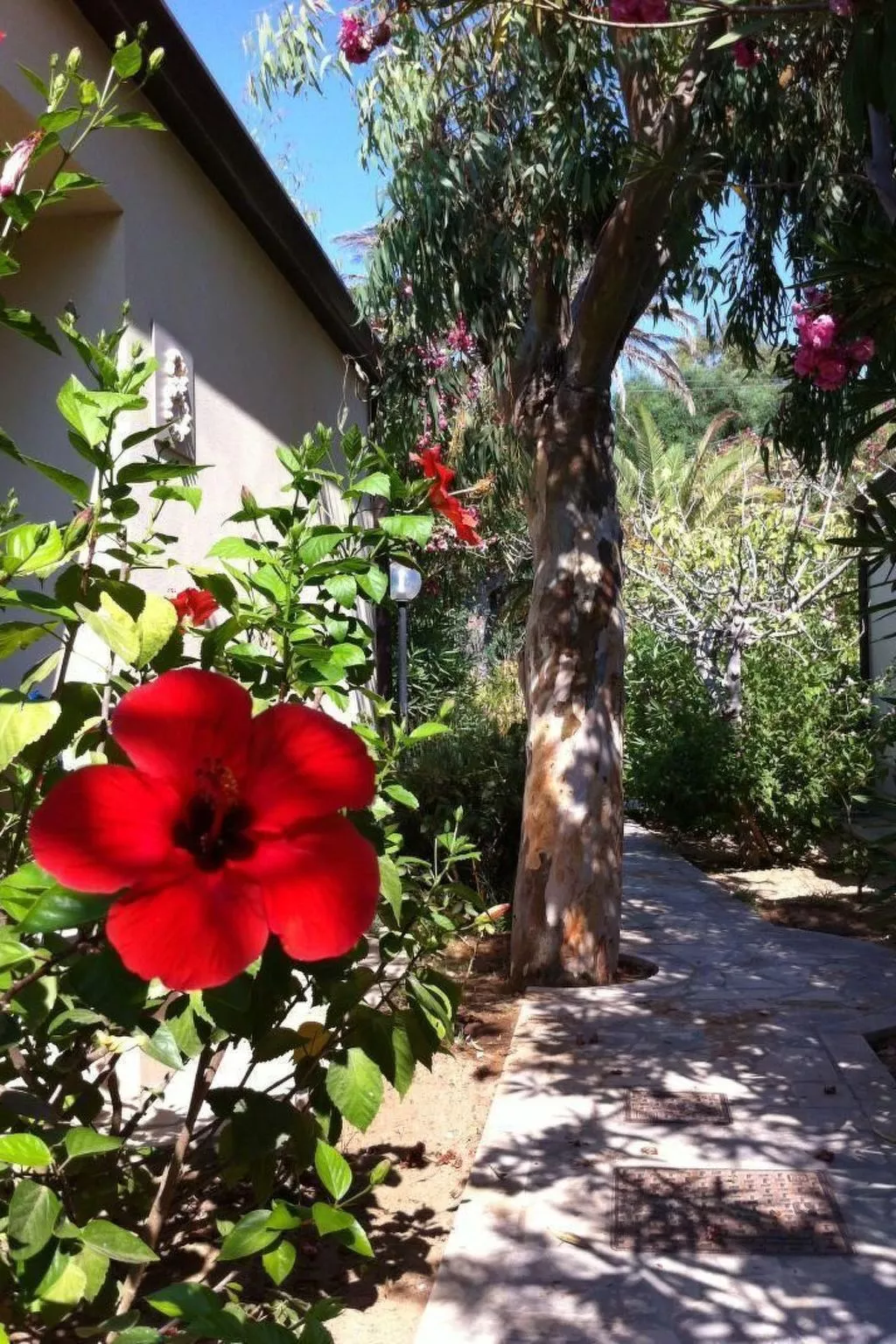 La Perla 8-Image-tags.info