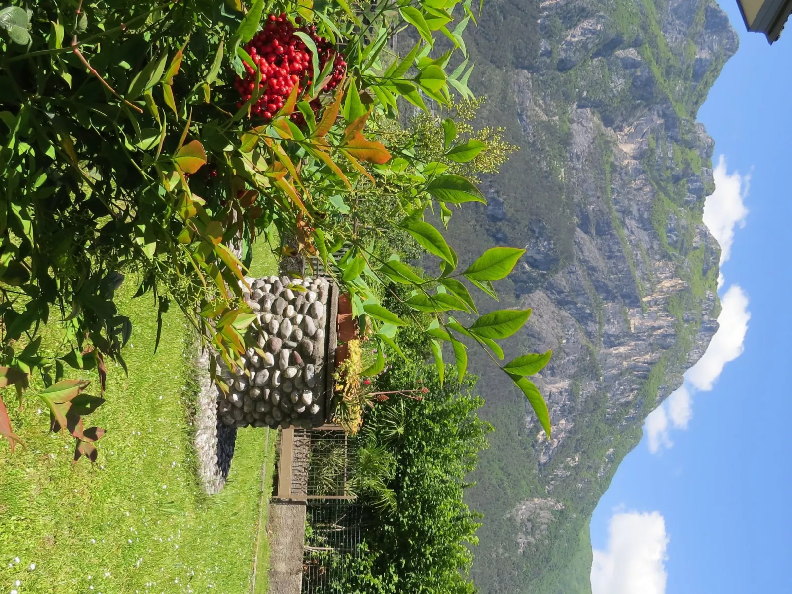 Villa im Grünen in Riva del Garda mit Garten-Image-tags.info