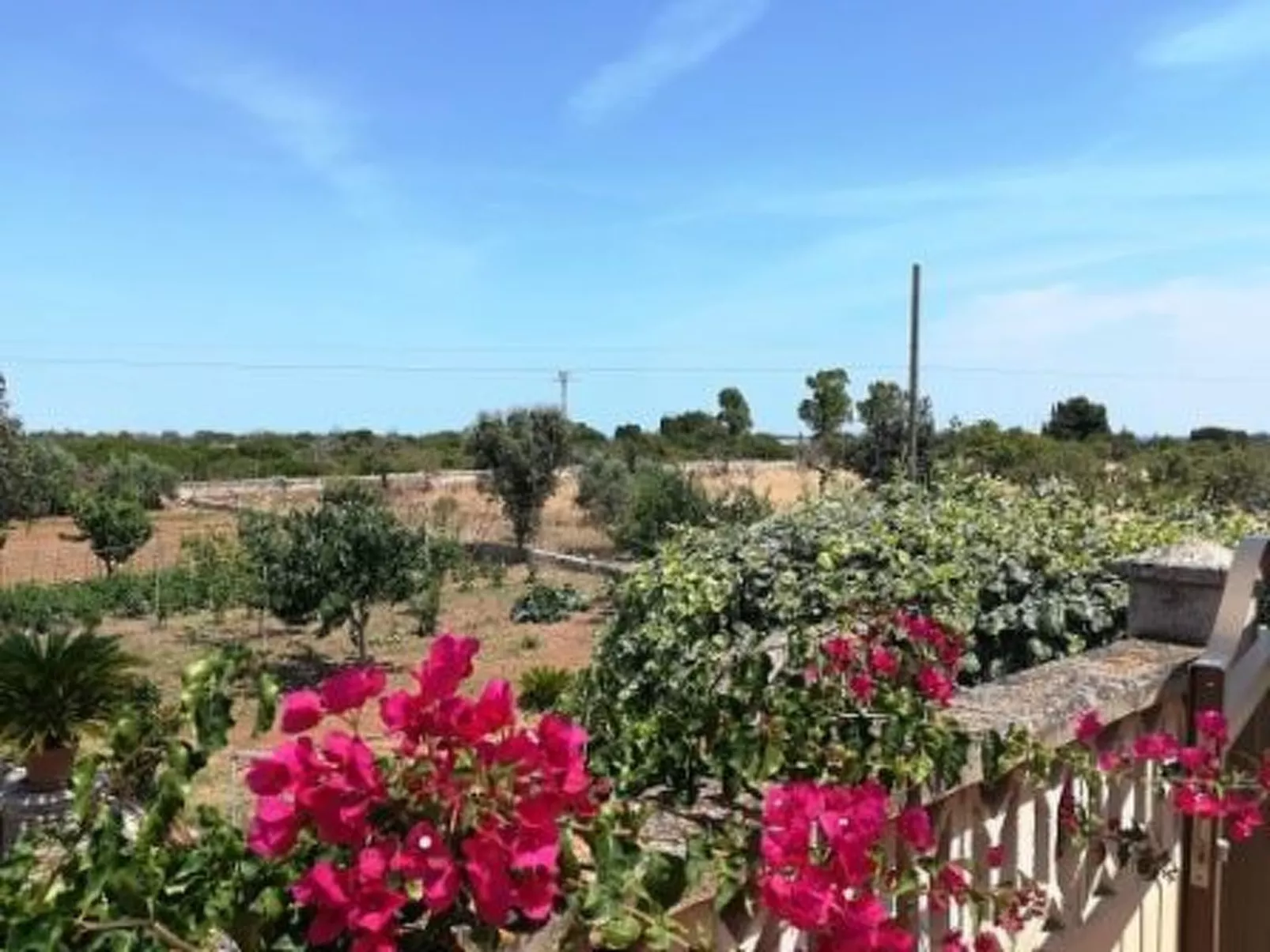 Ländlicher Bauernhof "Sa Gruta Marines"-Buiten