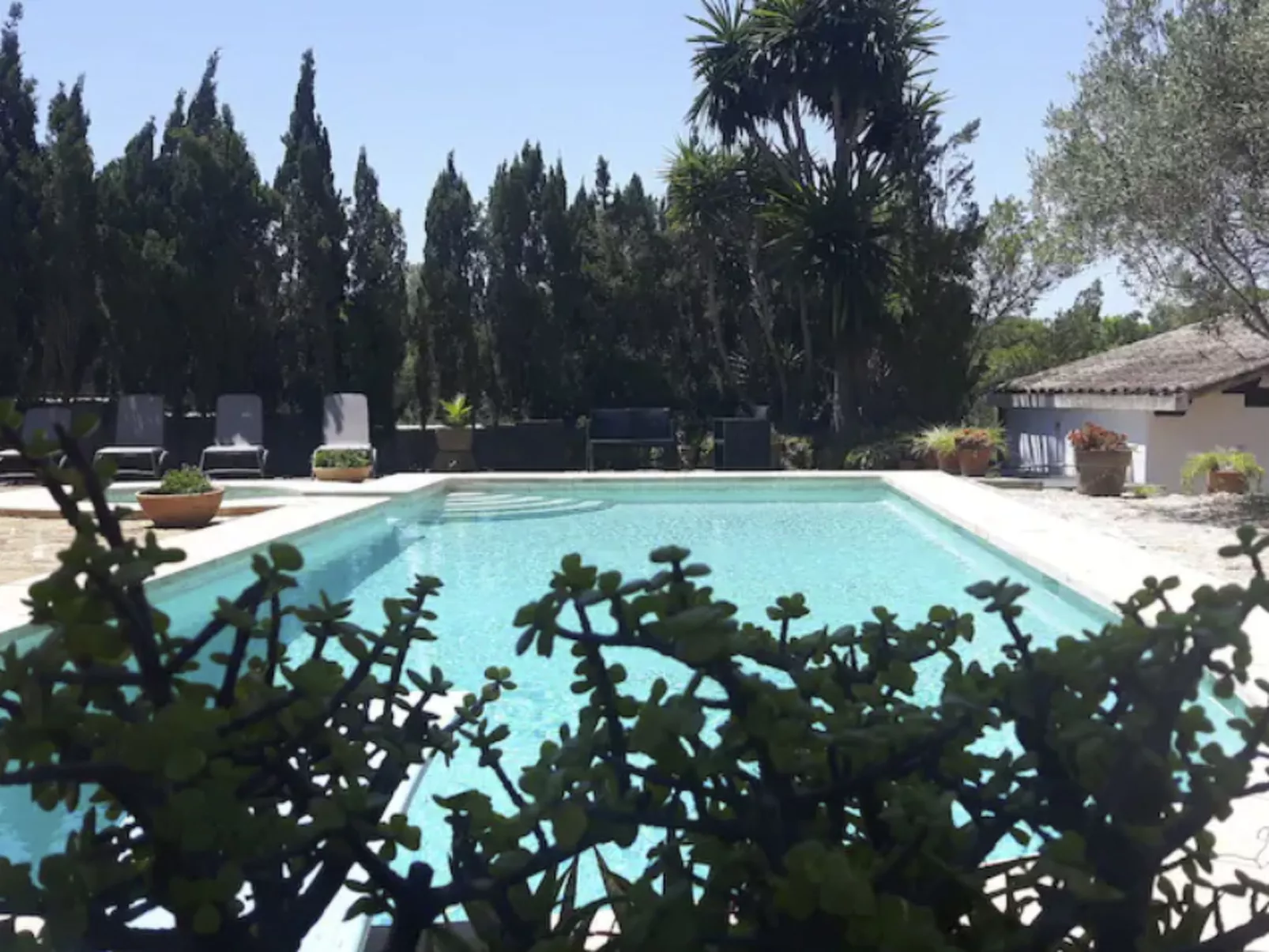 Charmante Familienvilla am Meer von Son Veri-Image-tags.info