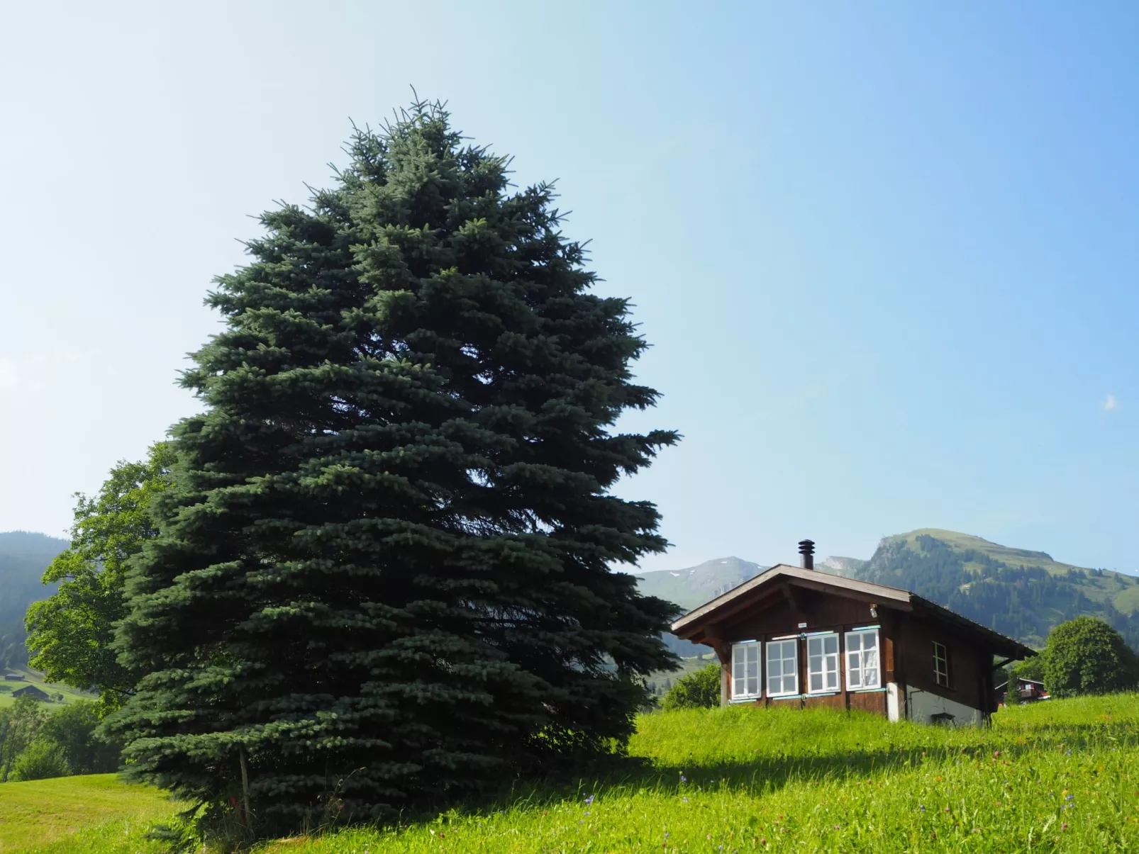 Chalet an ruhiger Lage mit schöner Bergsicht-Buiten