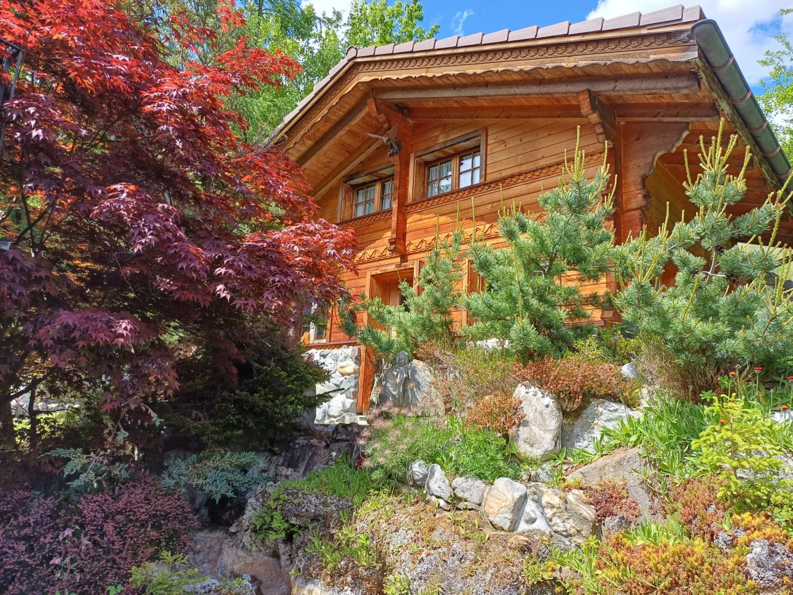 Adler 2 Bett Wohnung-Buiten