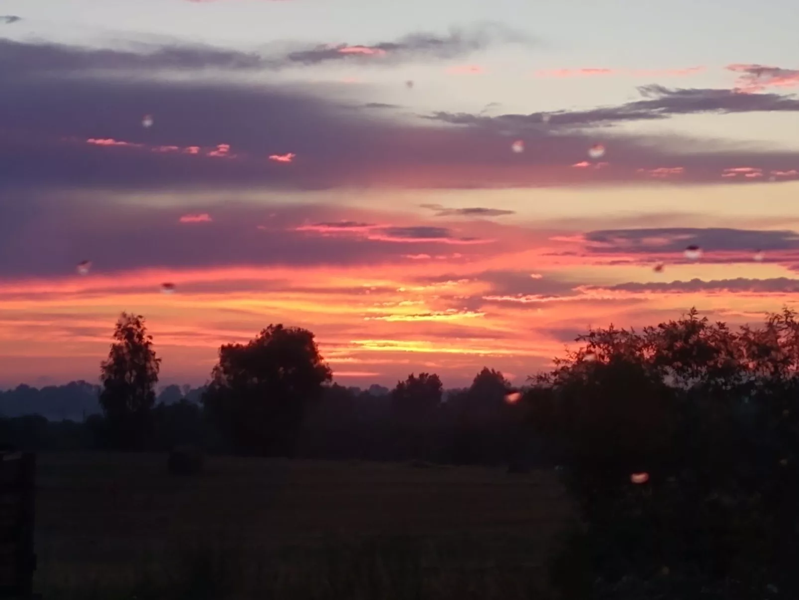 Vogelecke - abseits des Trubels und der Hektik-Buiten