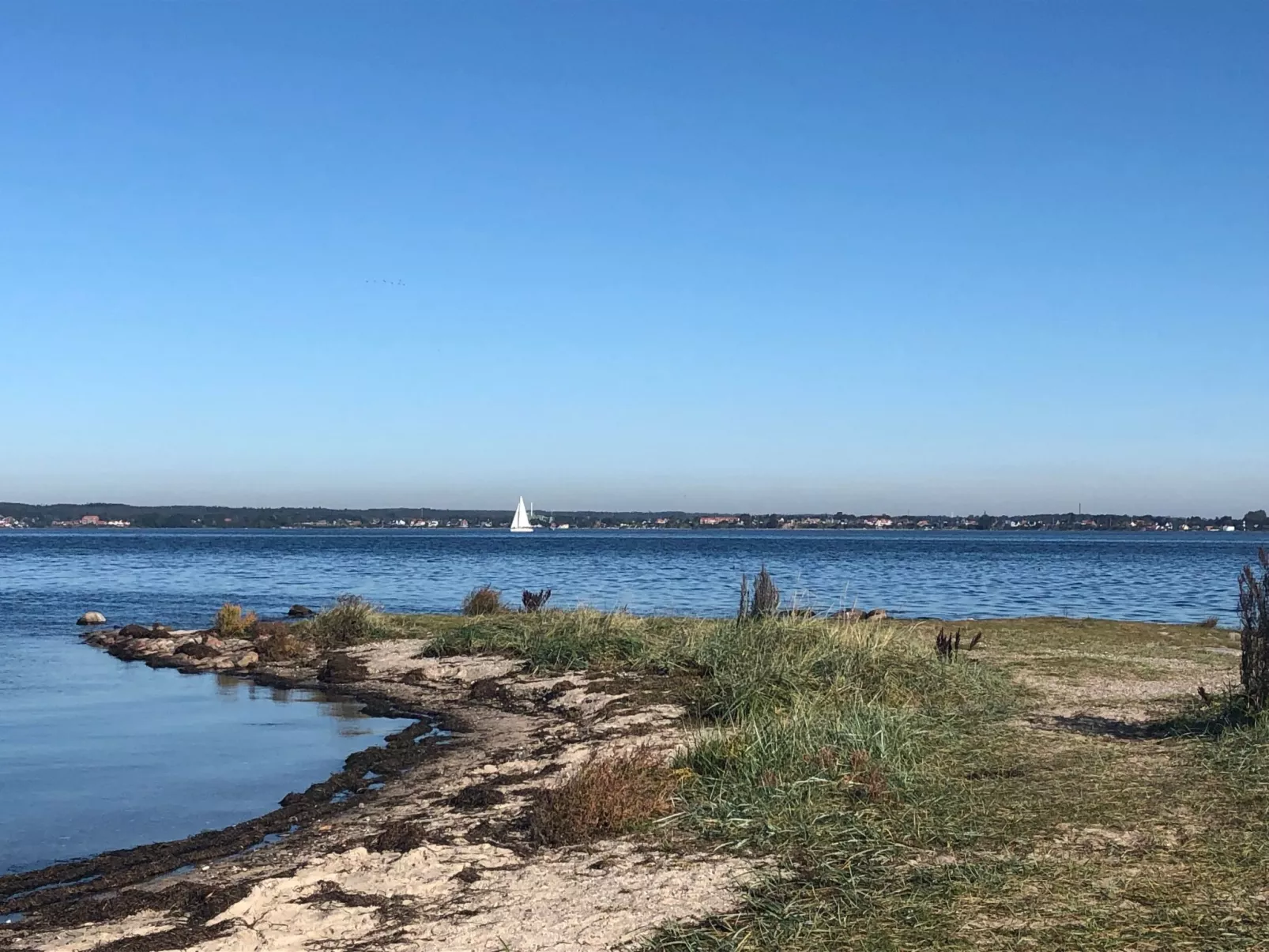 Ferienwohnung-Buiten