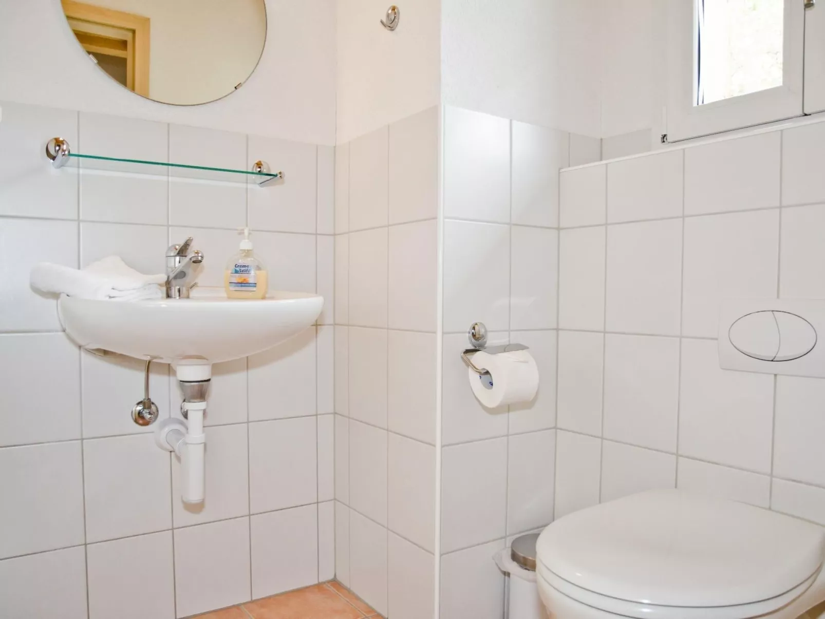 Apartment Kiwi links-Image-tags.info