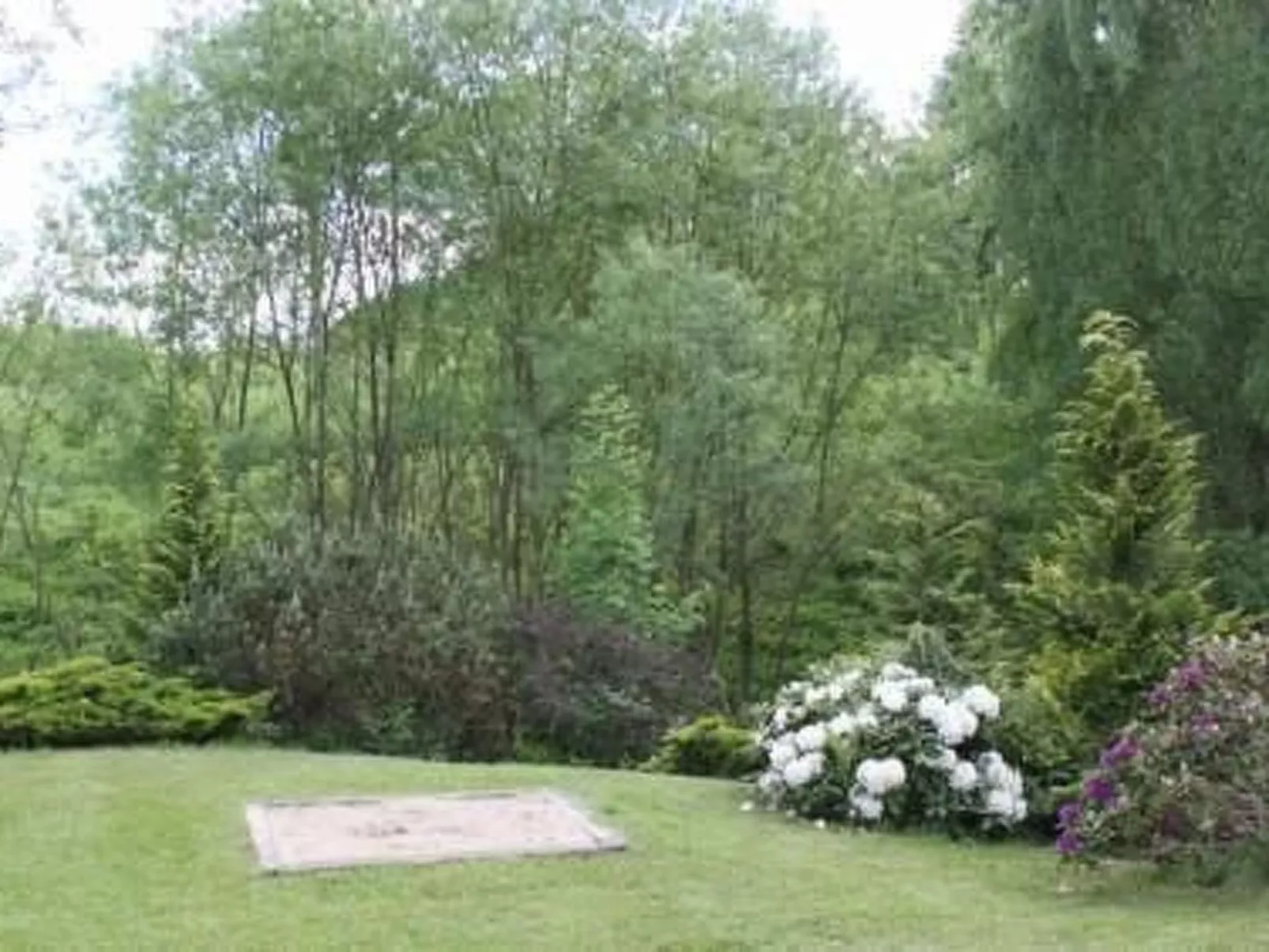 Haus Cervená nad Vltavou mit Terrasse-Image-tags.info