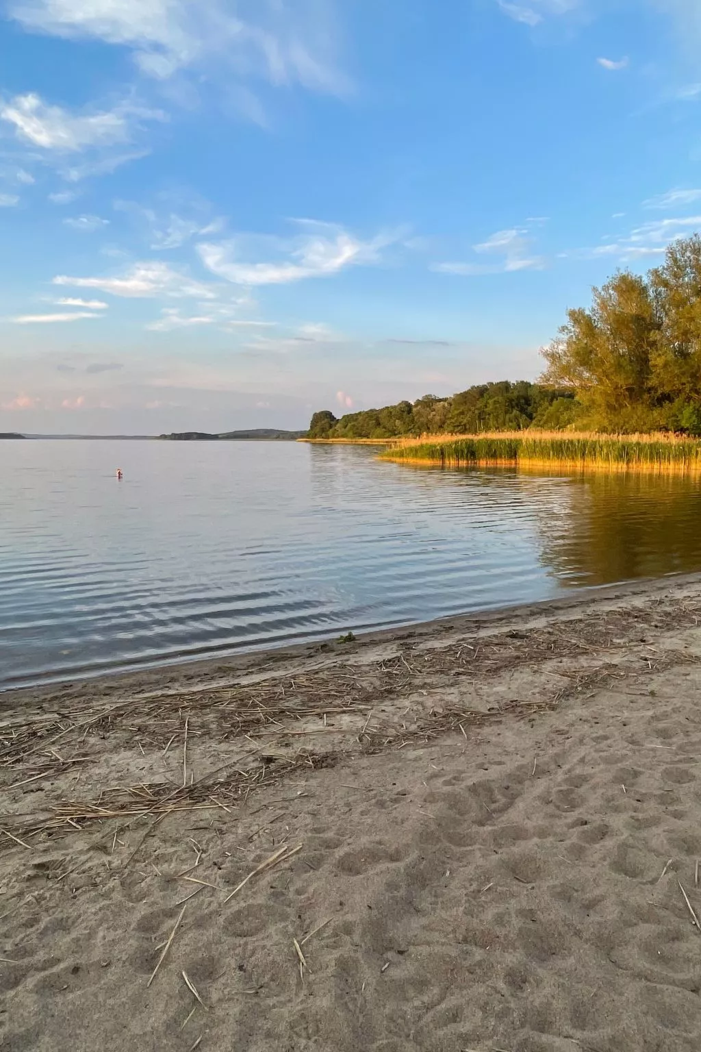 In Dahmen Terrasse und Grill-Image-tags.info