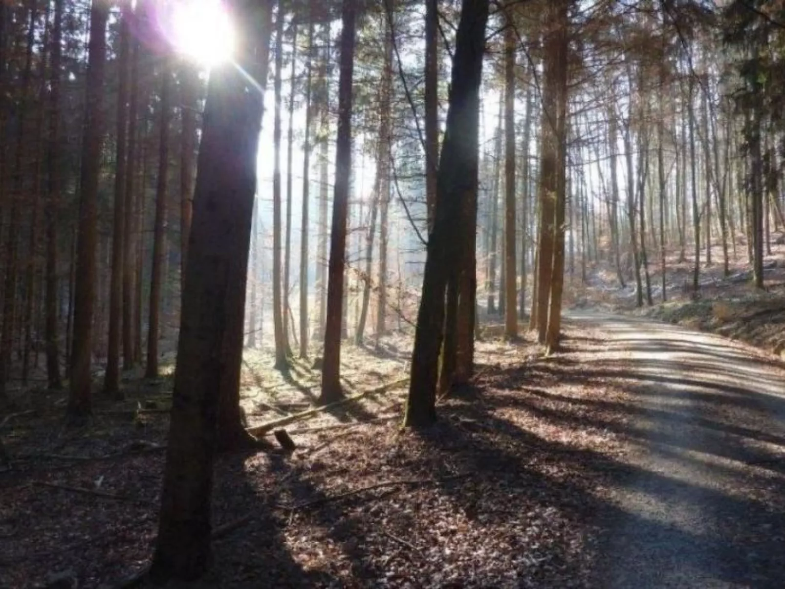 Miltenberg-Image-tags.info