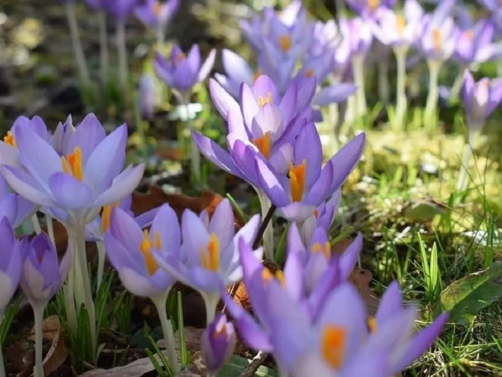 Stadt Apartement-Buiten