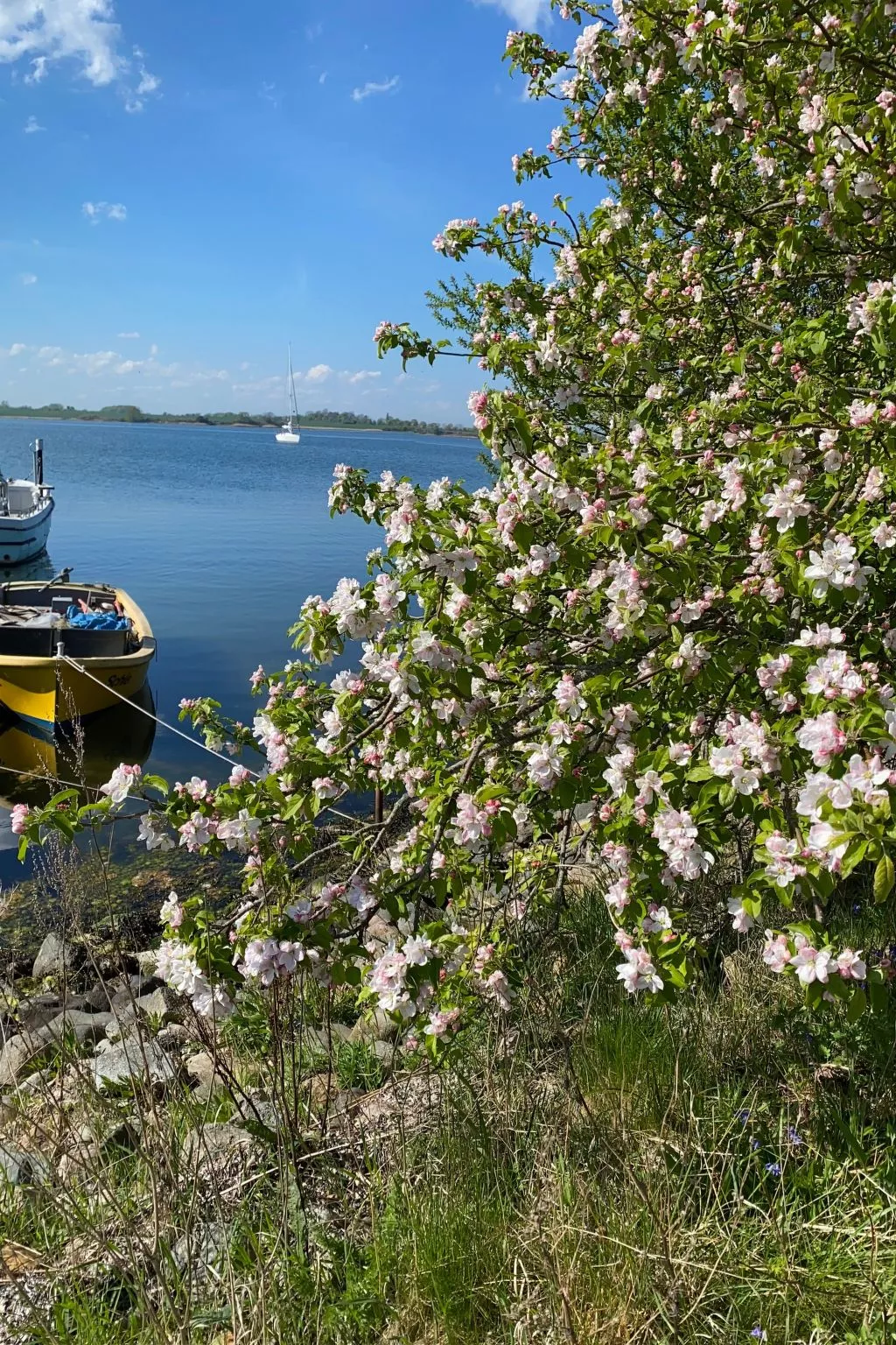 Lovely Place-Image-tags.info