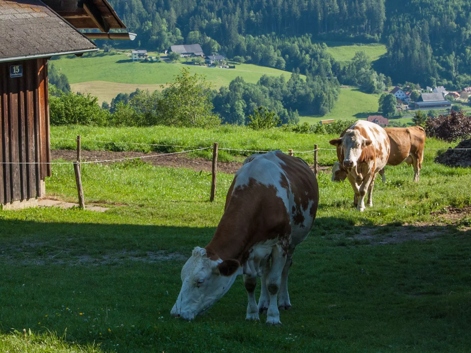 Moderne Wohnung in Pöls mit großer Terrasse-Buiten