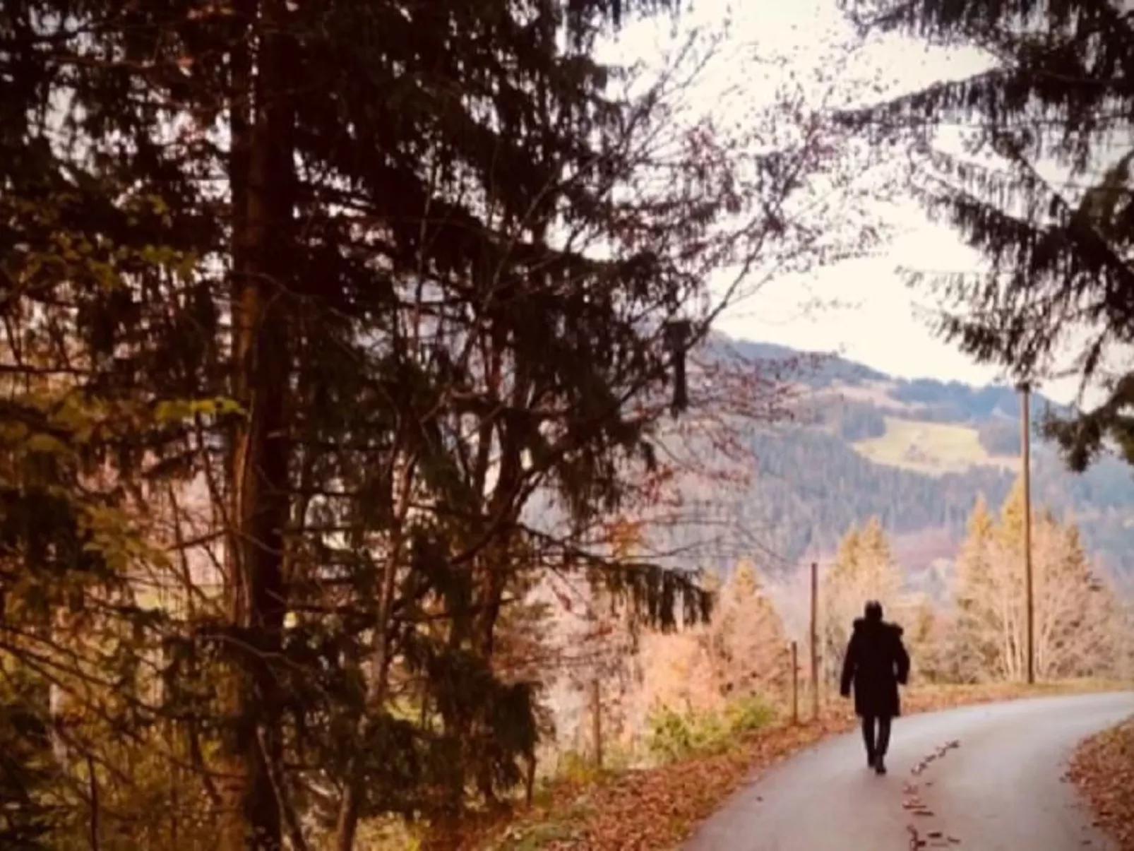 Authentisches Schweizer Alpenchalet aus dem 18. Jh.-Image-tags.info