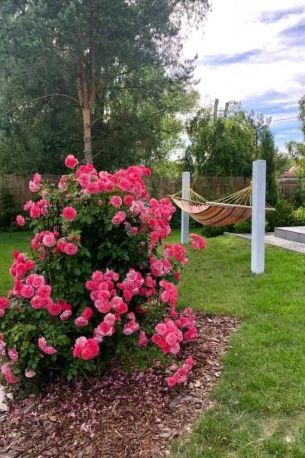 Bernsteinhaus-Image-tags.info