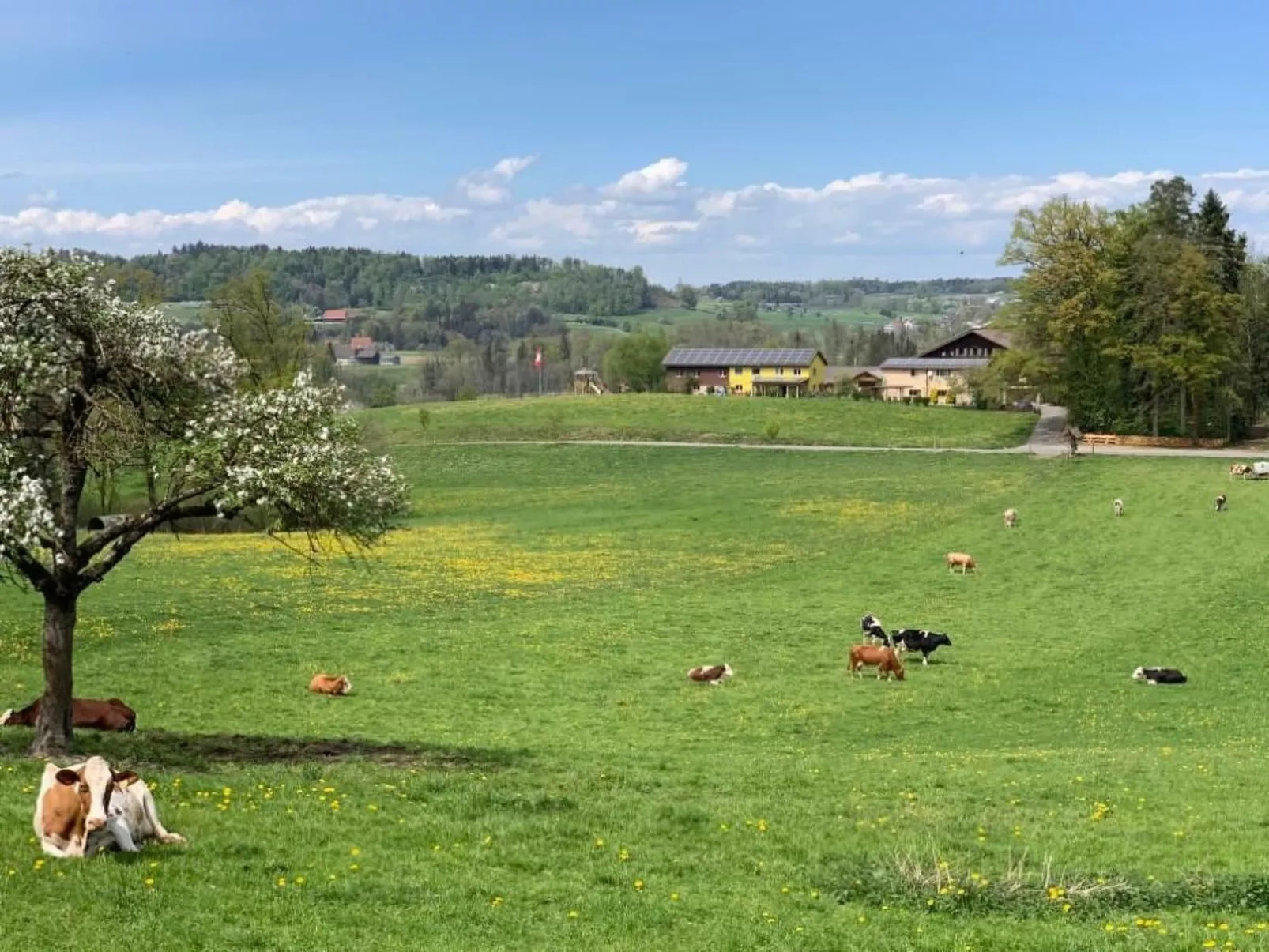Rehalp Westen-Buiten