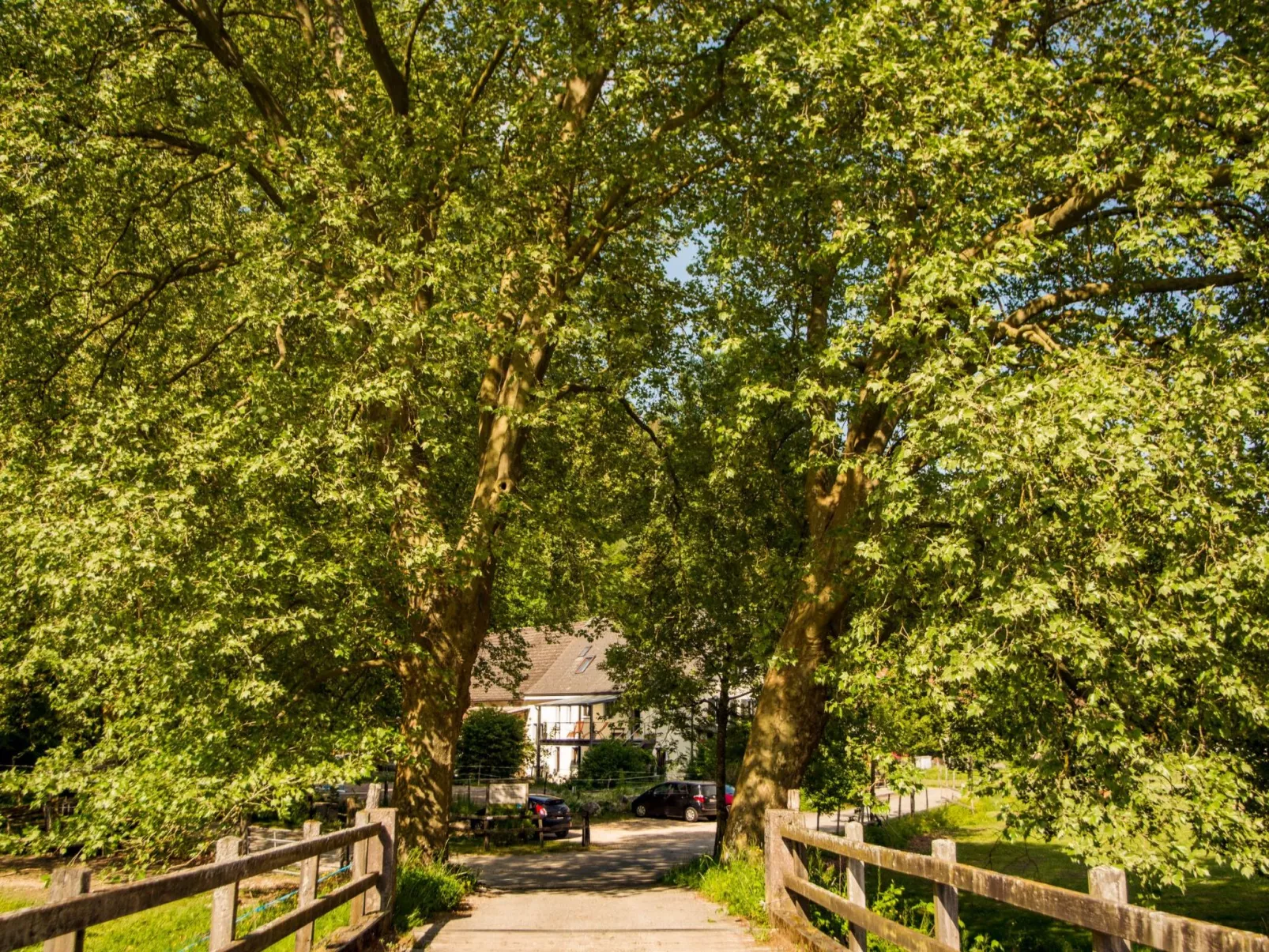 Leben "Im Herzen der Farm"-Buiten