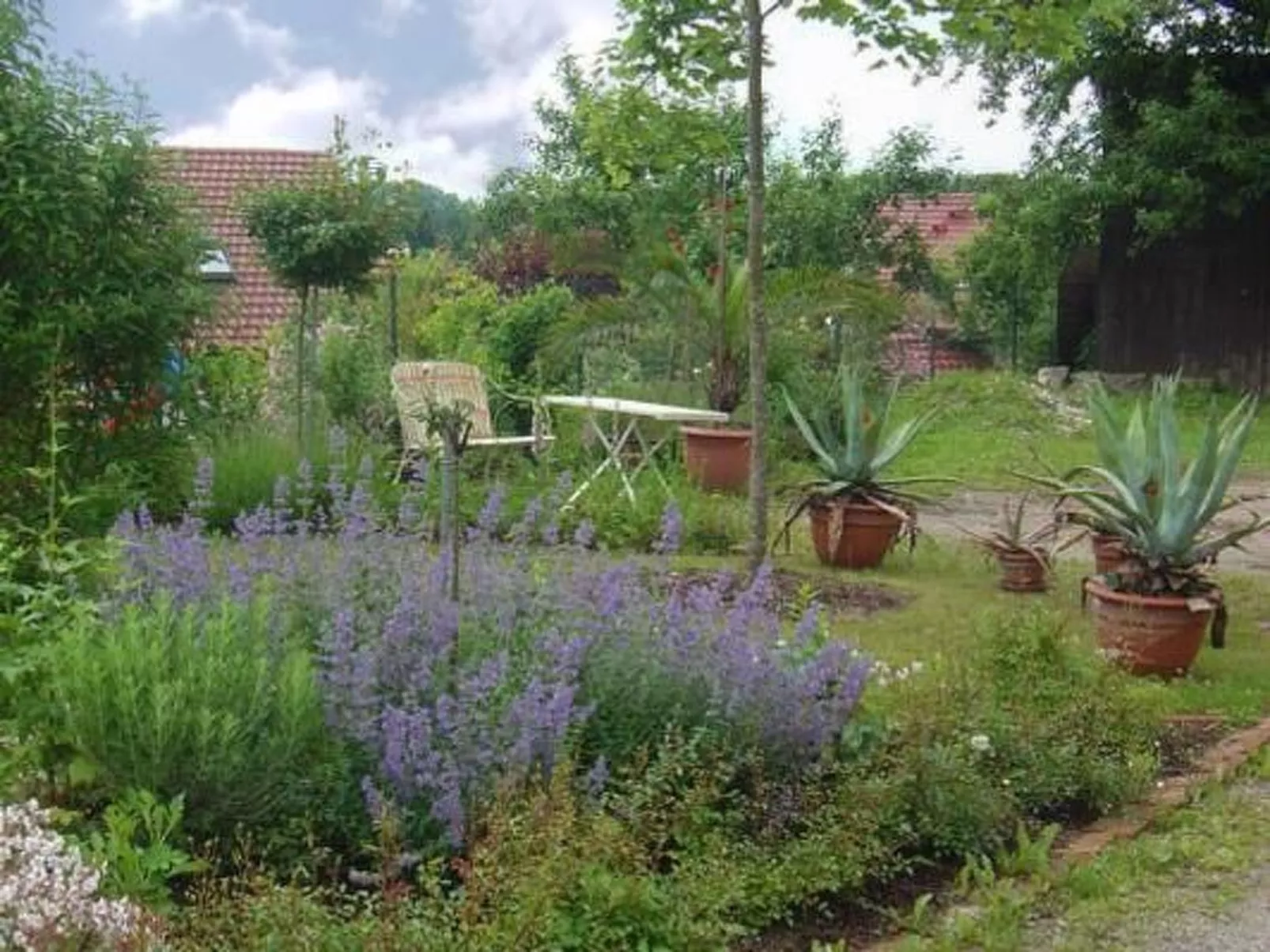 Fewo Altes Schulhaus-Buiten