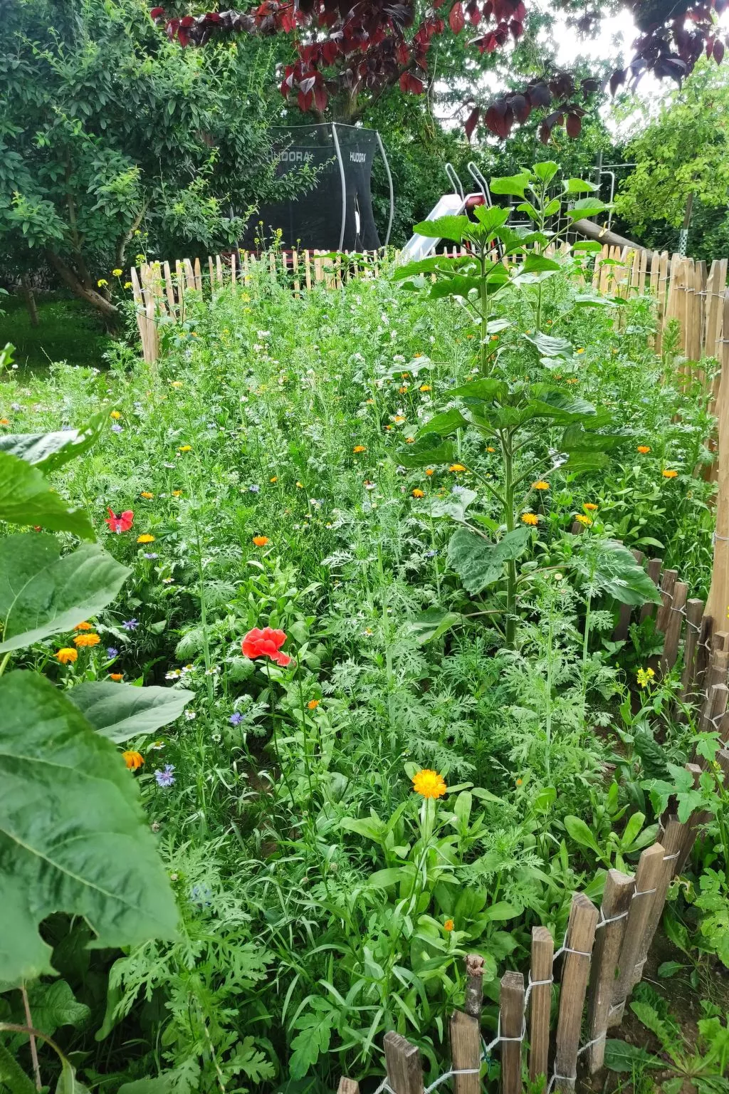 Janet Ratschkowski-Buiten