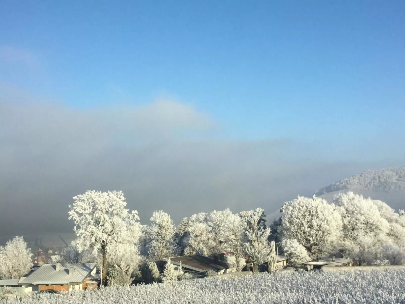 Traumwohnung-Image-tags.info