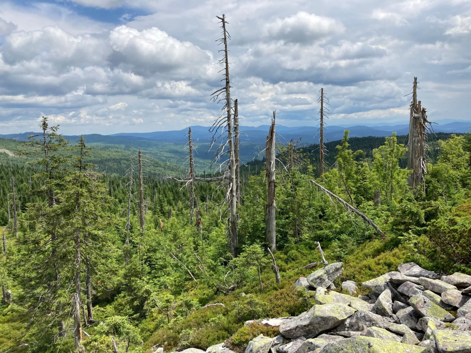 Landhaus Wildfeuer-Buiten