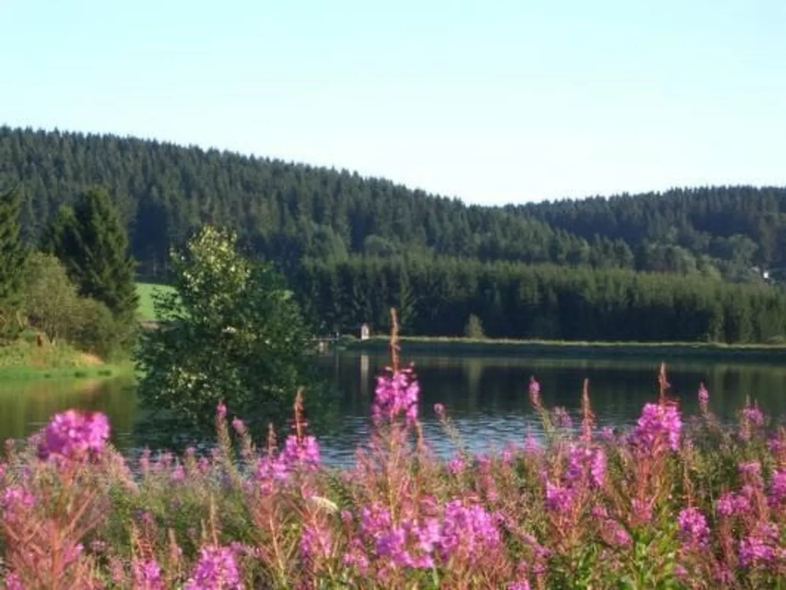 Ferienw. Natur pur-Image-tags.info