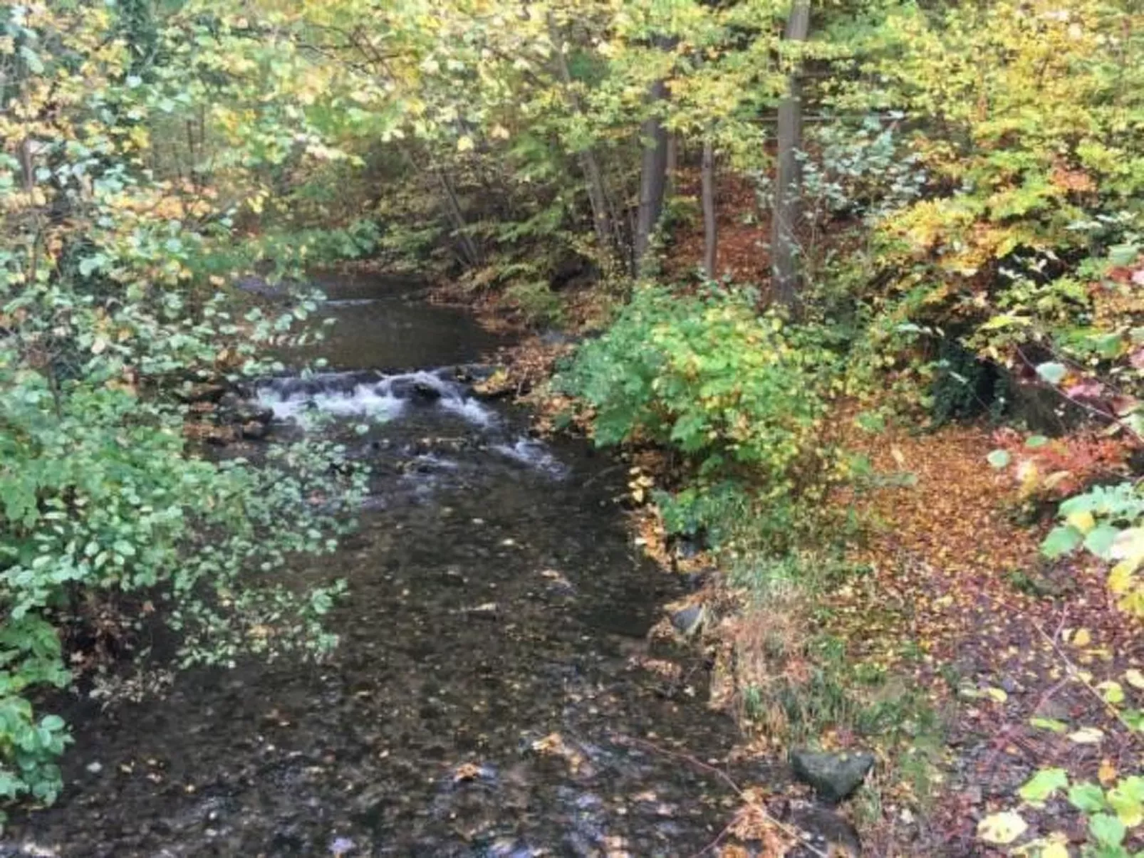 Feriendomizil Adler-Buiten