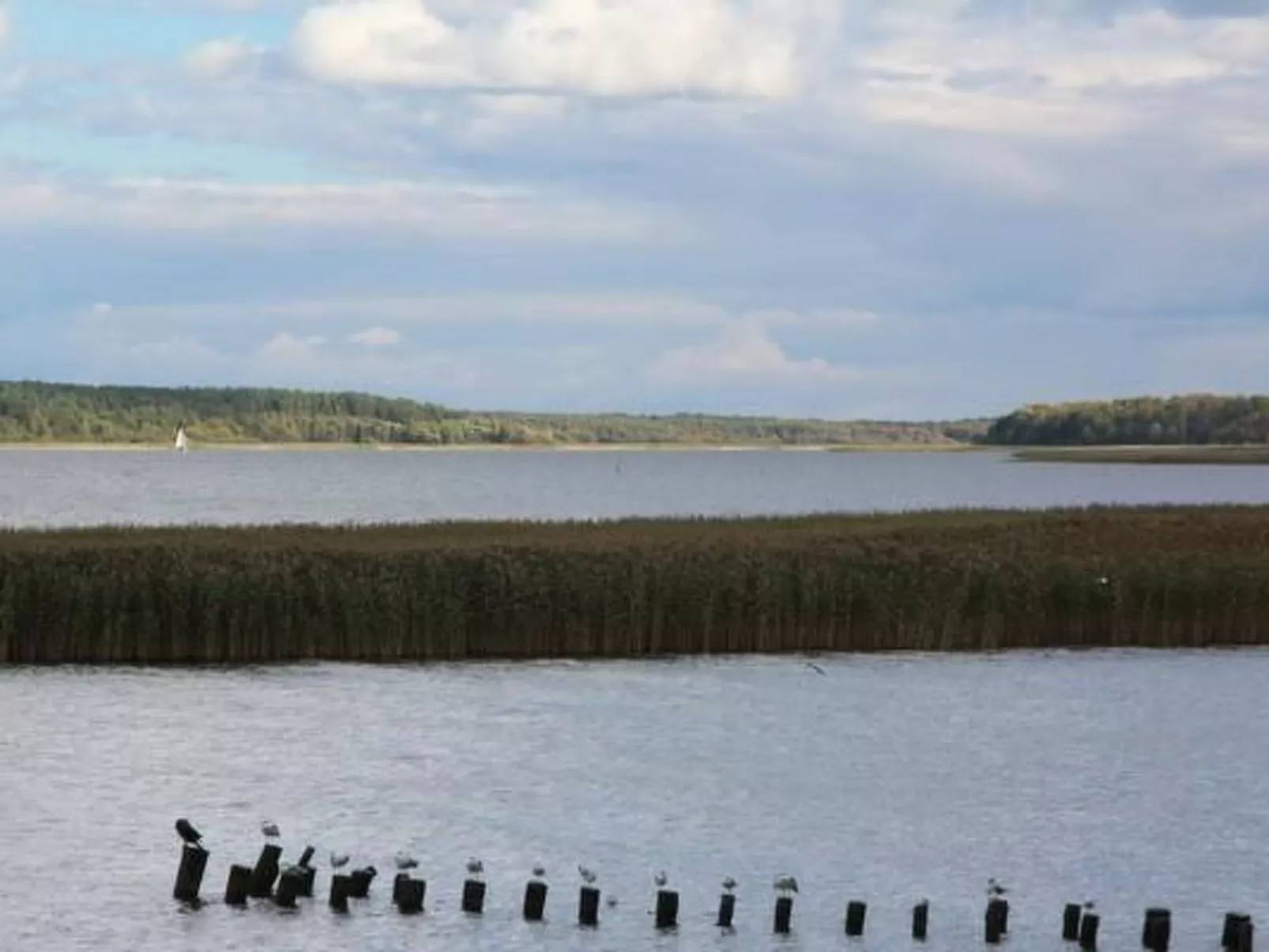 Ferienvilla mit Blick auf das Wasser-Buiten