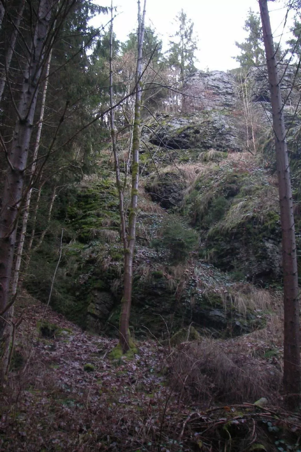 Chalet "Lena"-Buiten