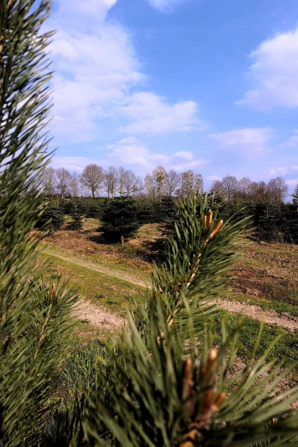 "Ferienhaus GolczaVita"-Image-tags.info