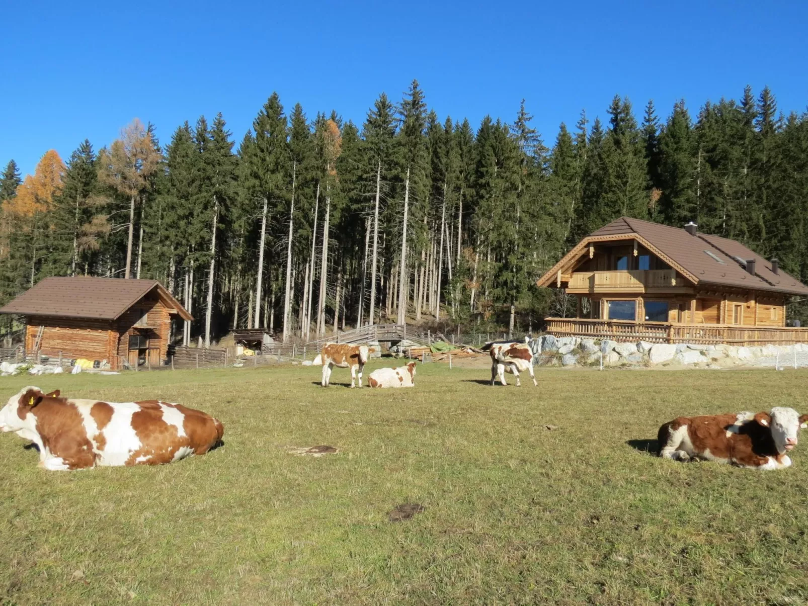 W..alpenchalets cc-Image-tags.info