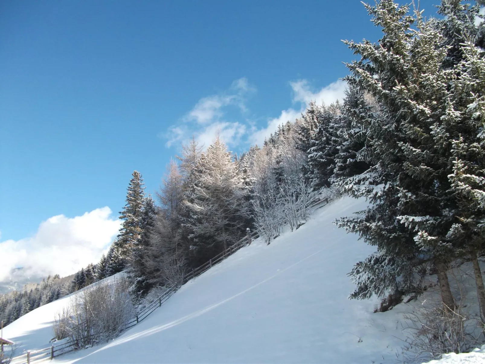 Ferienhaus Gassner in Navis-Image-tags.info