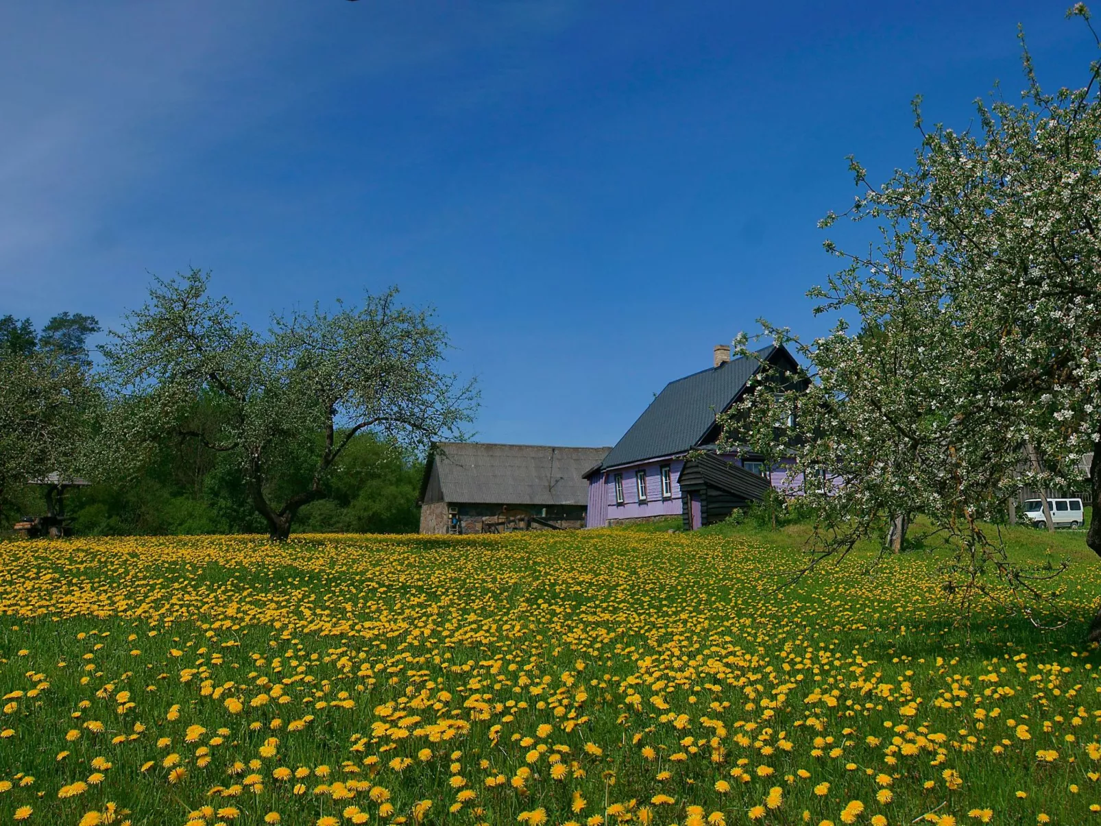 Landgut "Baltin Krogs" mit eigenem Garten-Buiten
