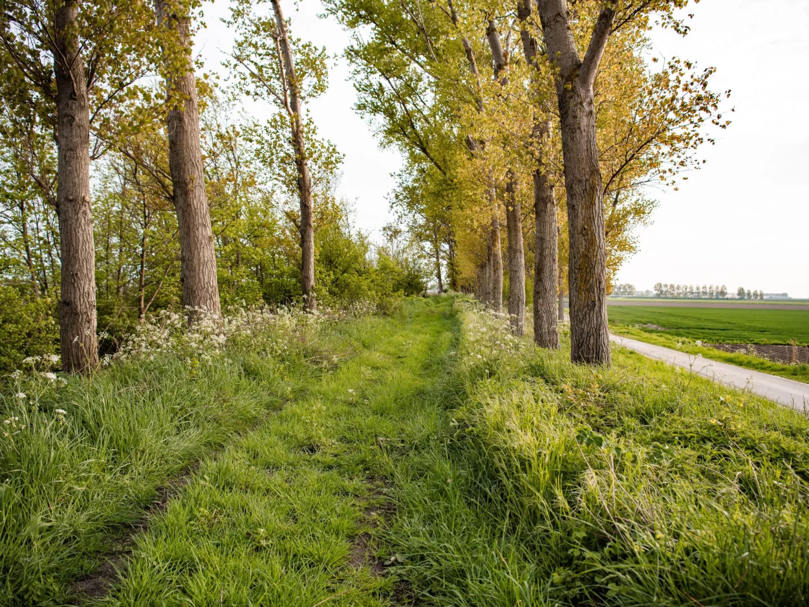 Luxus-App in der Scheune "Strandje groote Nol"-Buiten