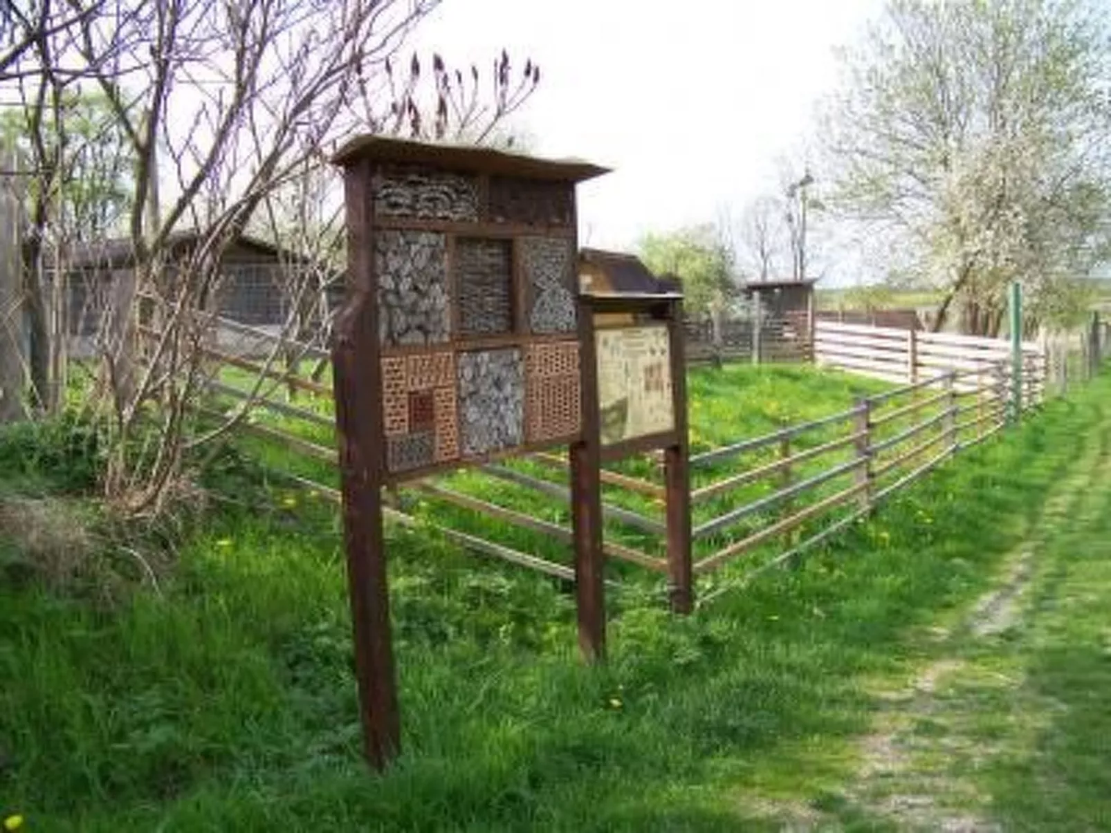 Alleenwiesen-Image-tags.info