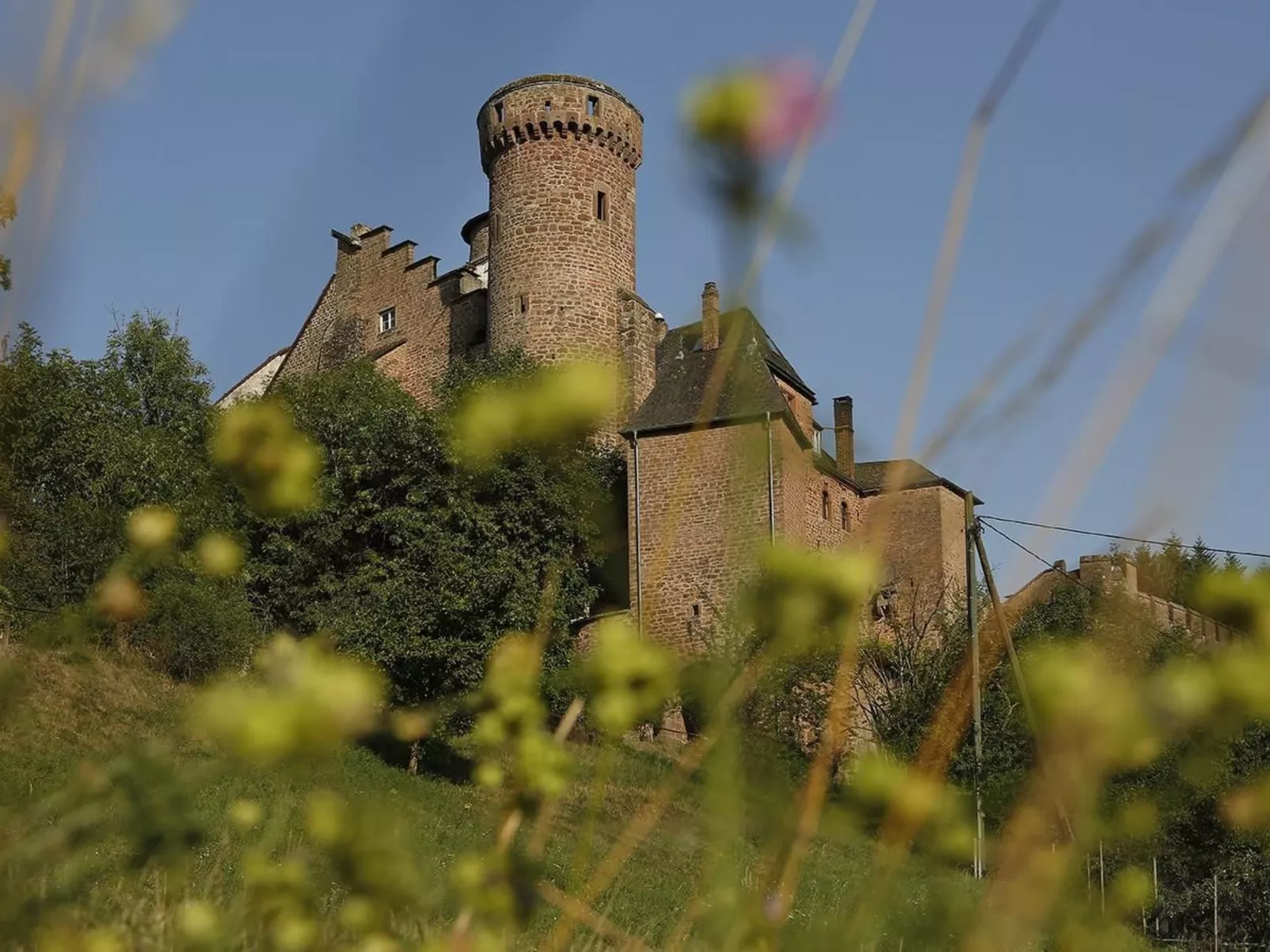 Mit Garten im Naturpark Südeifel-Image-tags.info