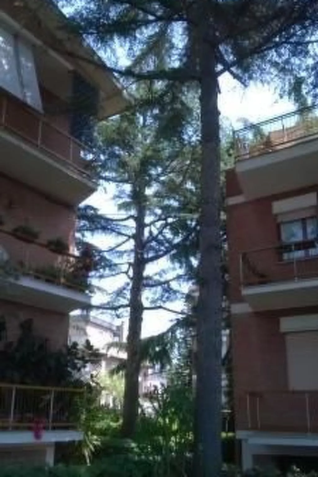 Penthouse mit großer Terrasse-Buiten