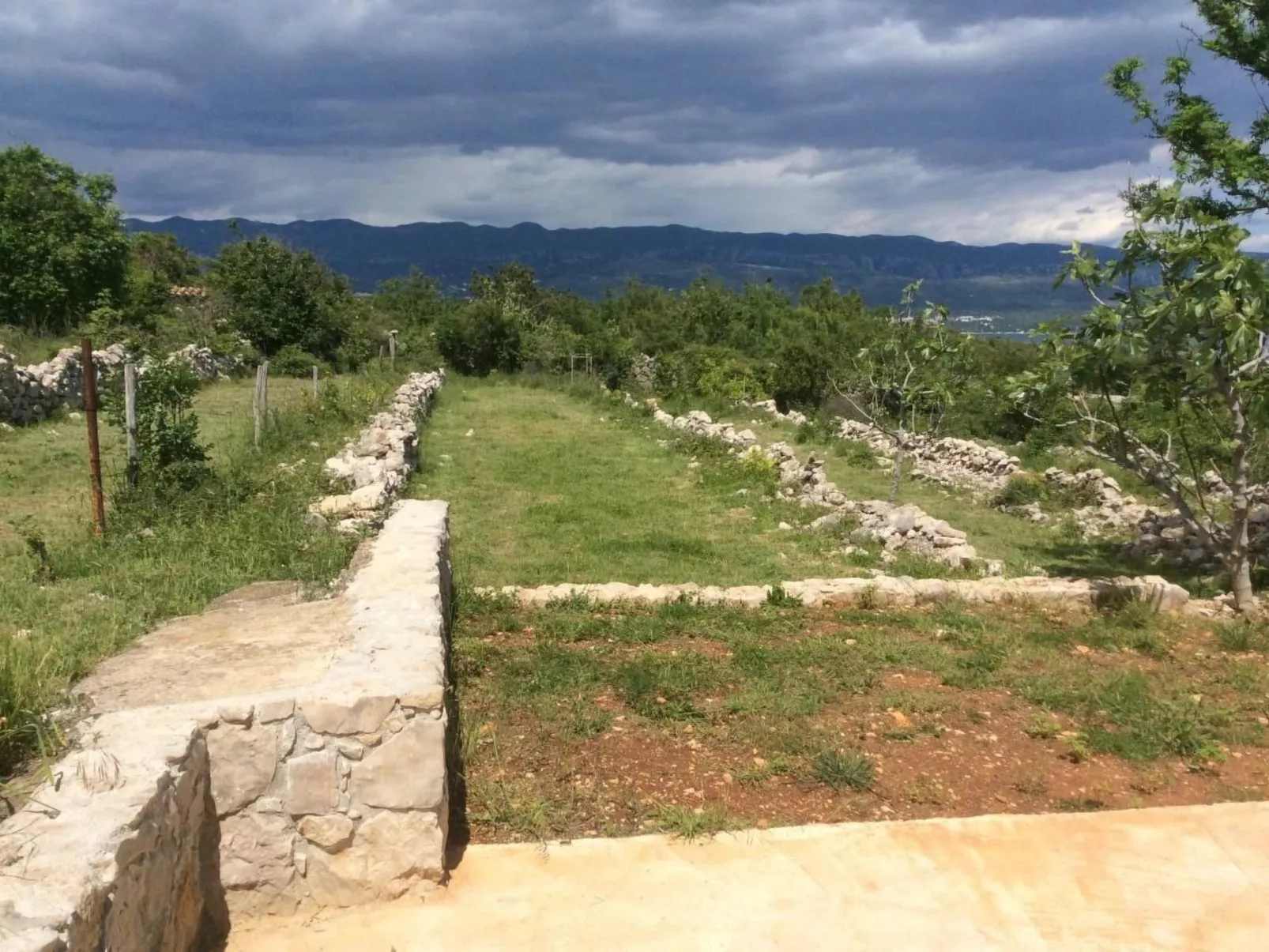 Mit Wasserblick-Image-tags.info