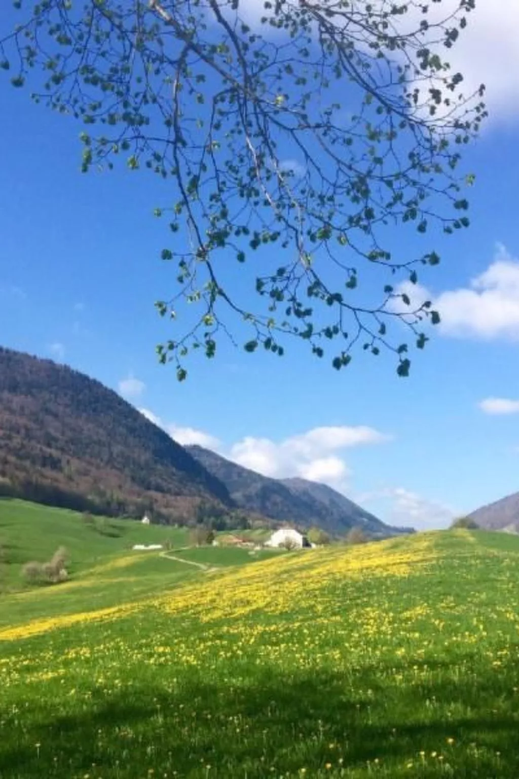 Schafmatthof Dachwohnung-Image-tags.info