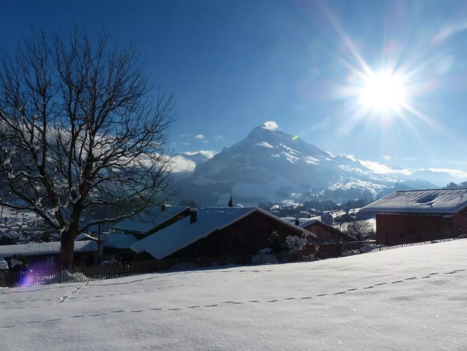 Alpenblick west-Image-tags.info